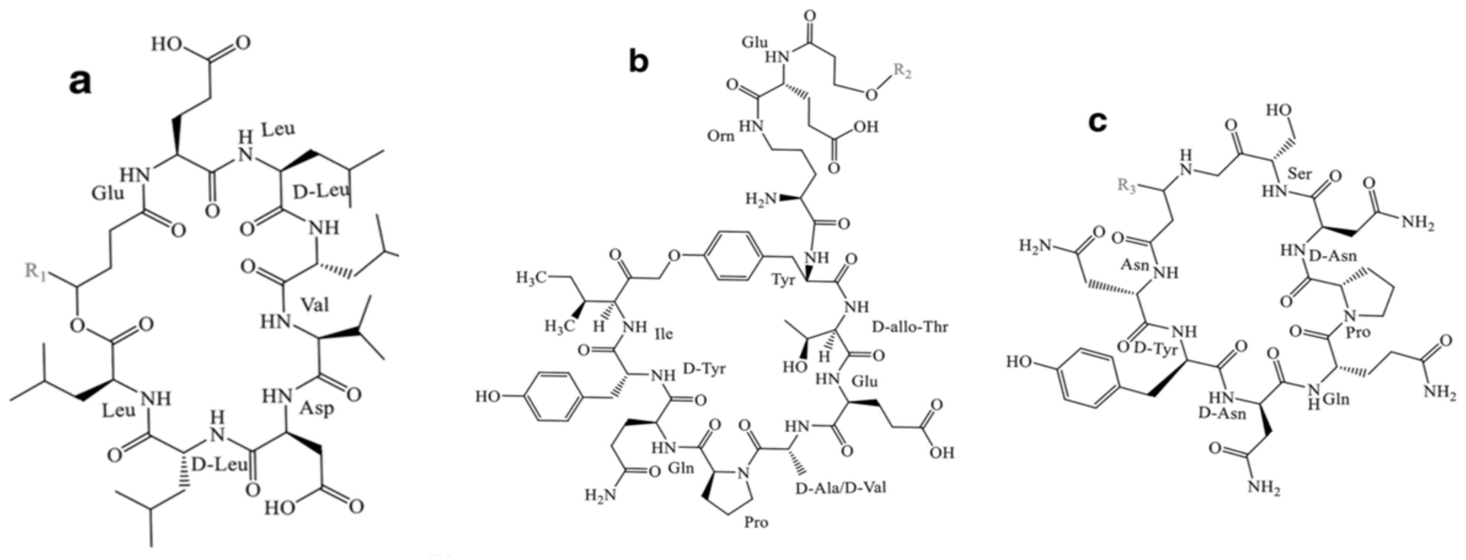 Fermentation 09 00597 g002