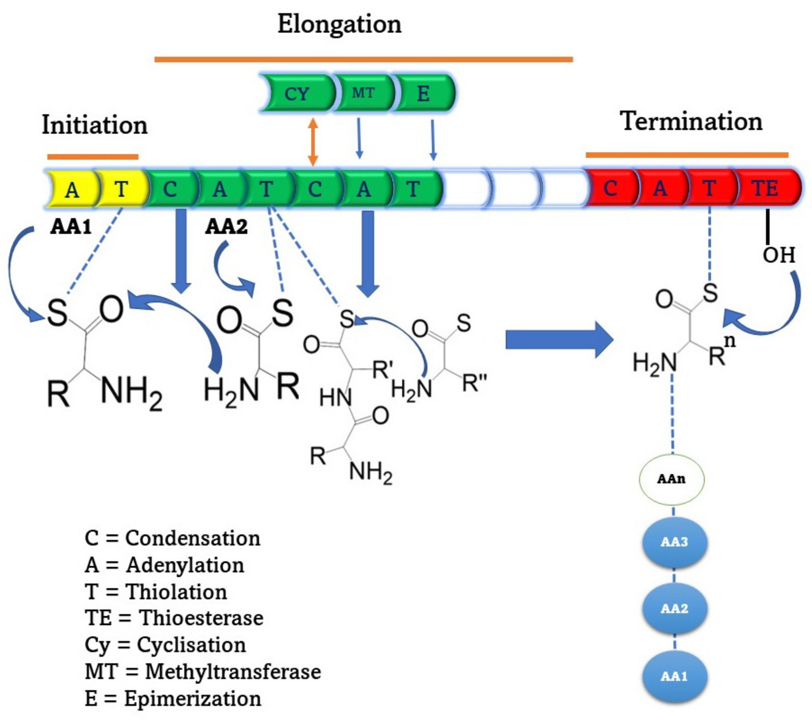 Fermentation 09 00597 g003