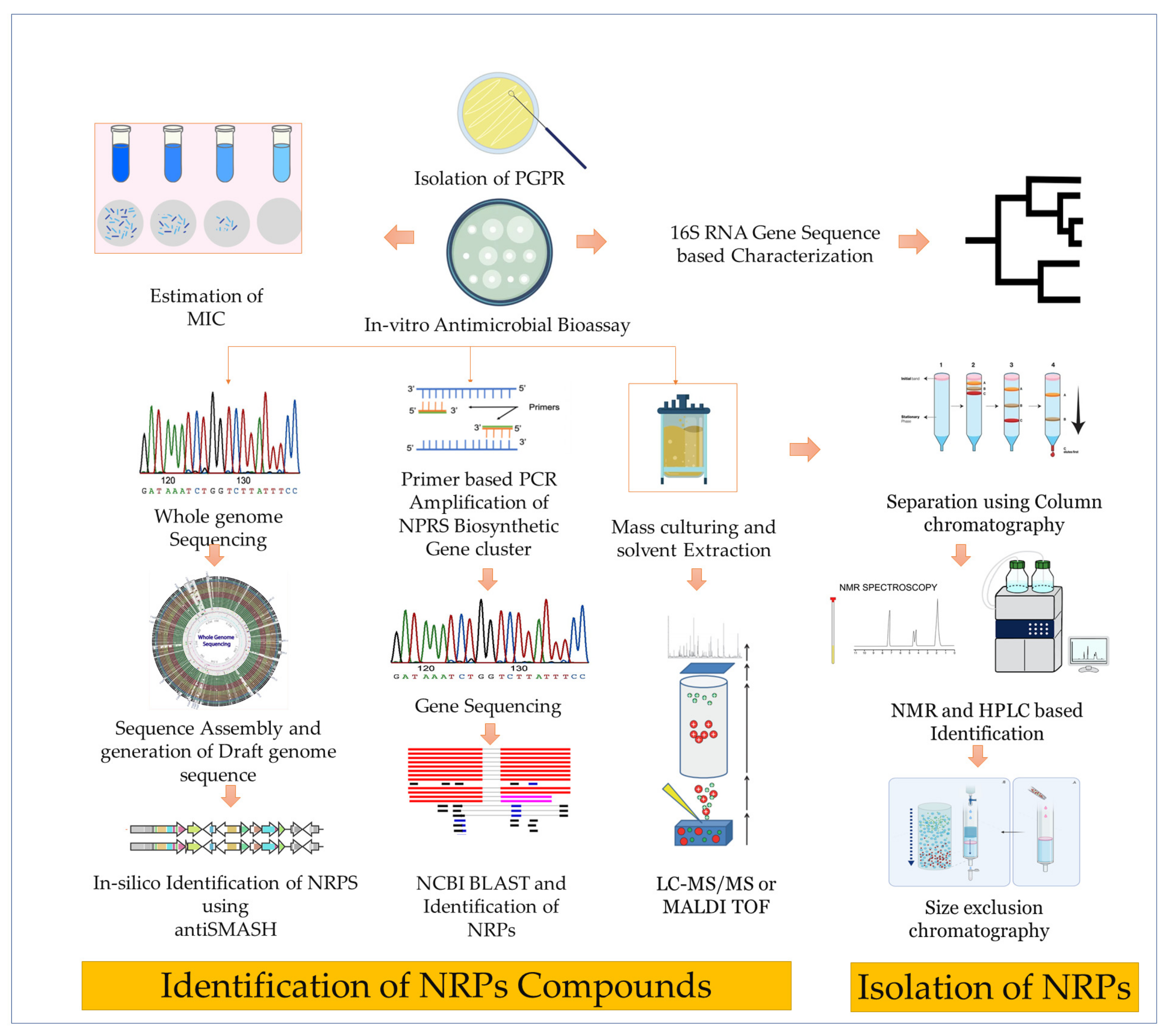 Fermentation 09 00597 g004