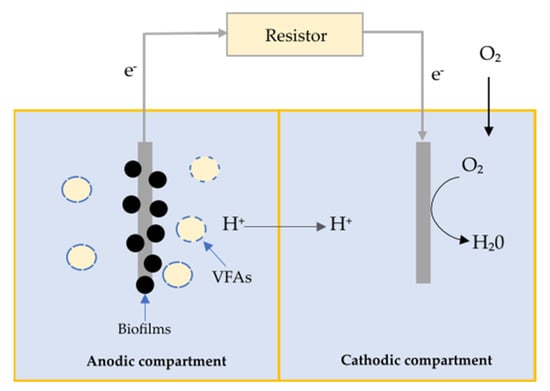 Fermentation 09 00602 g002
