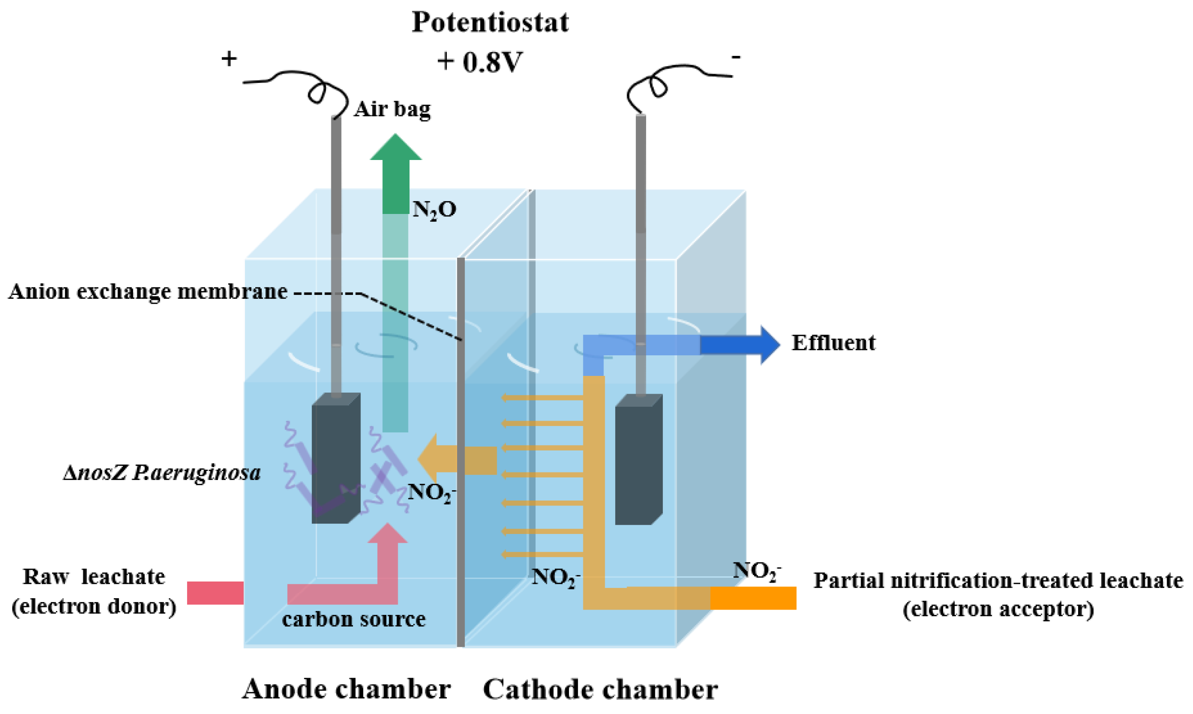 Fermentation 09 00607 g001
