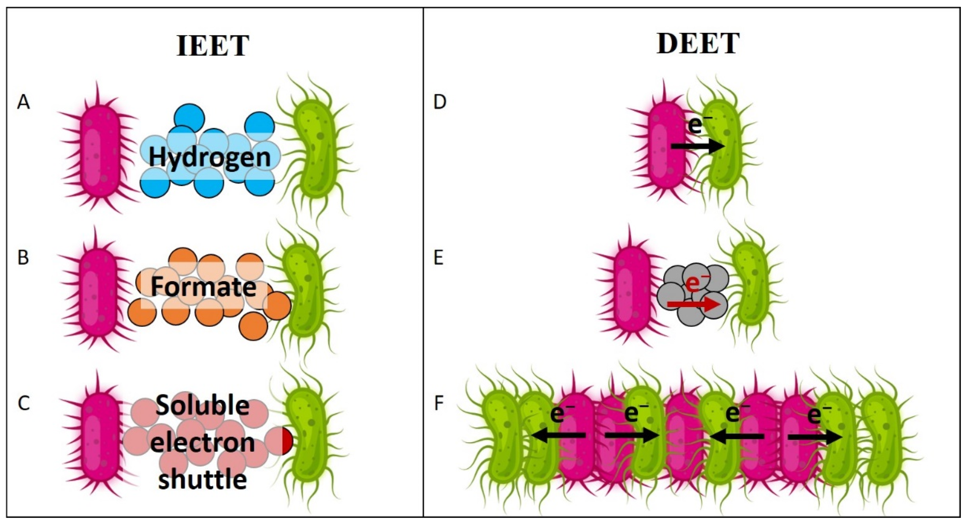 Fermentation 09 00610 g002