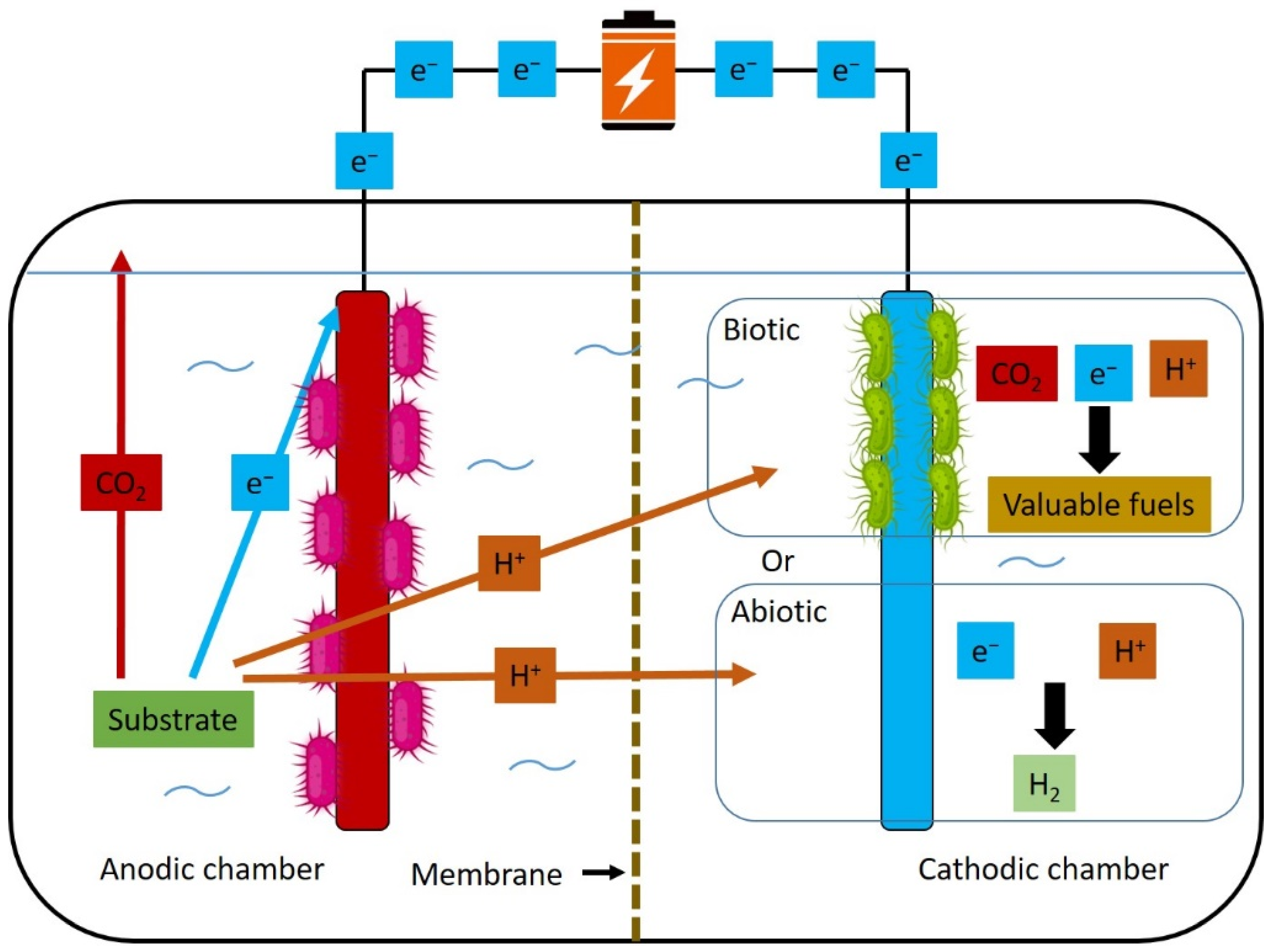 Fermentation 09 00610 g004