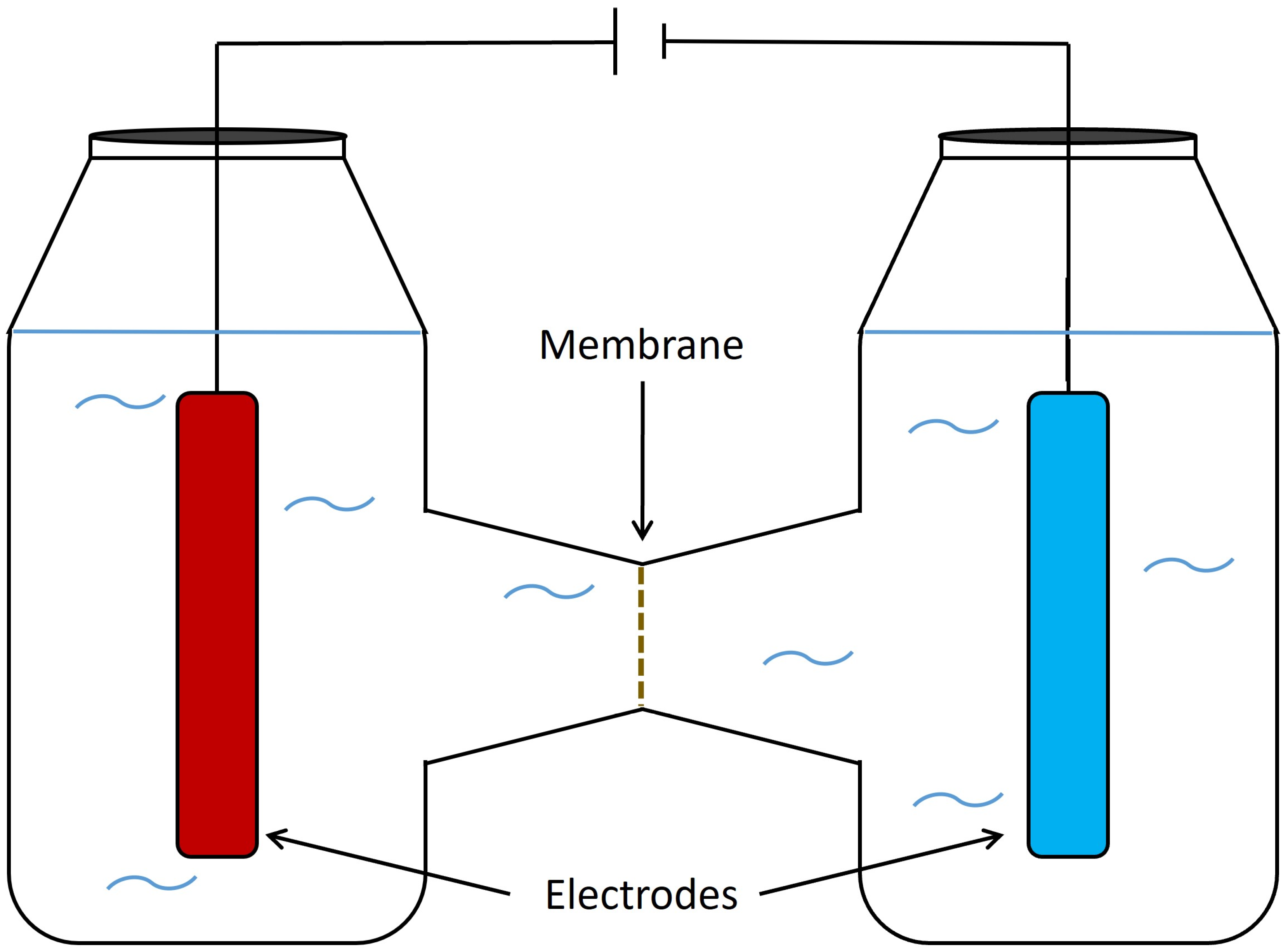 Fermentation 09 00610 g007