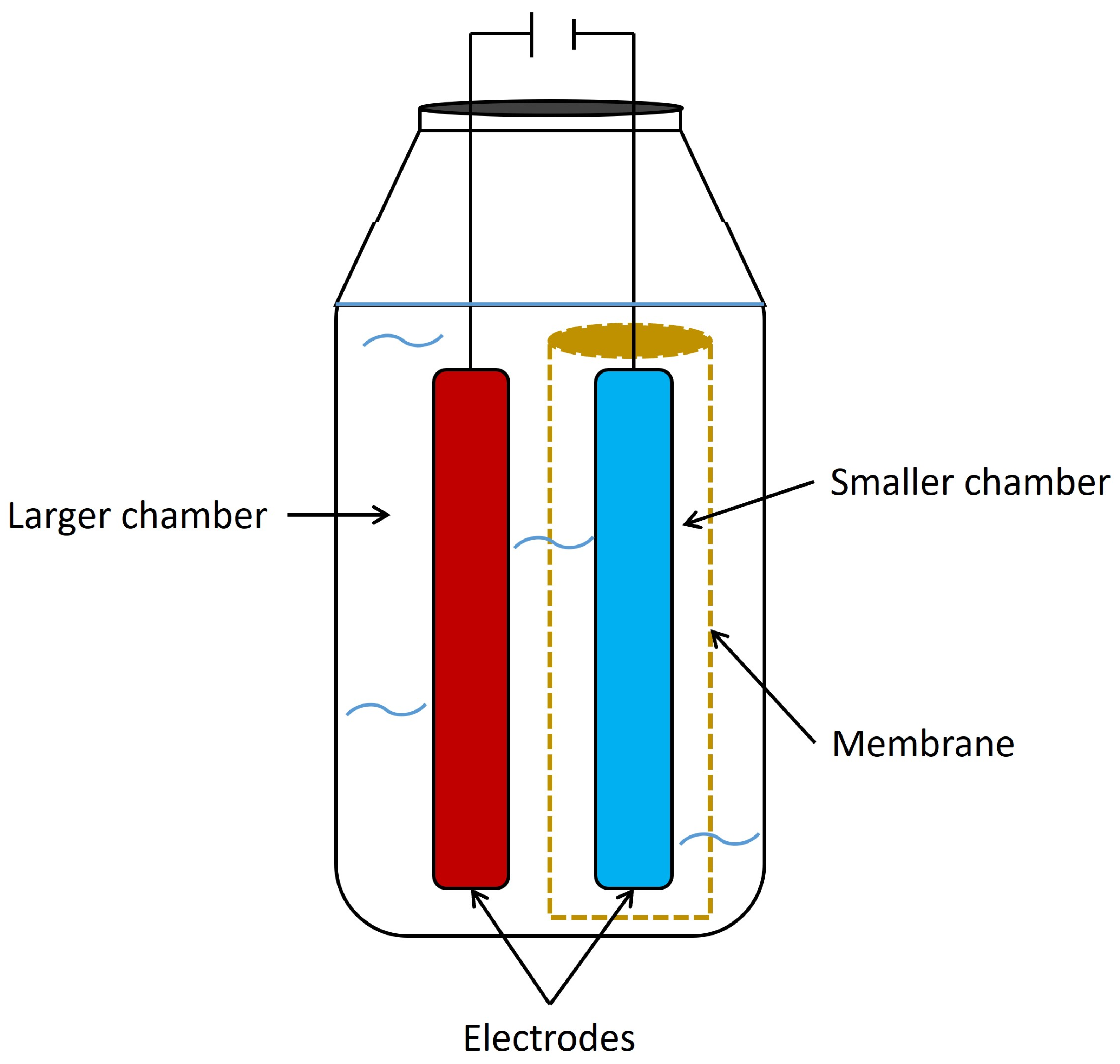 Fermentation 09 00610 g008