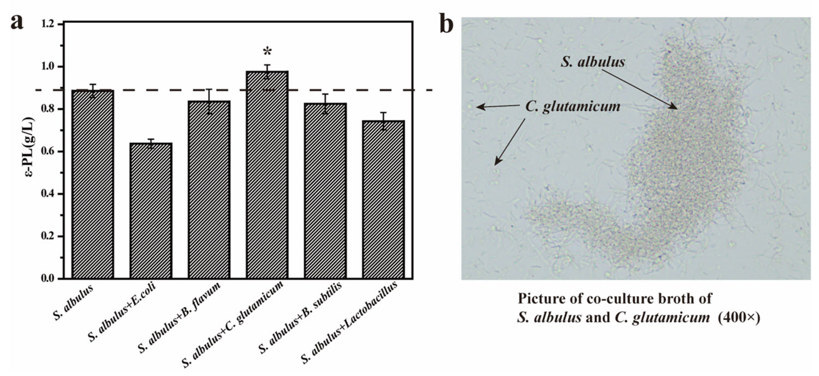Fermentation 09 00626 g001