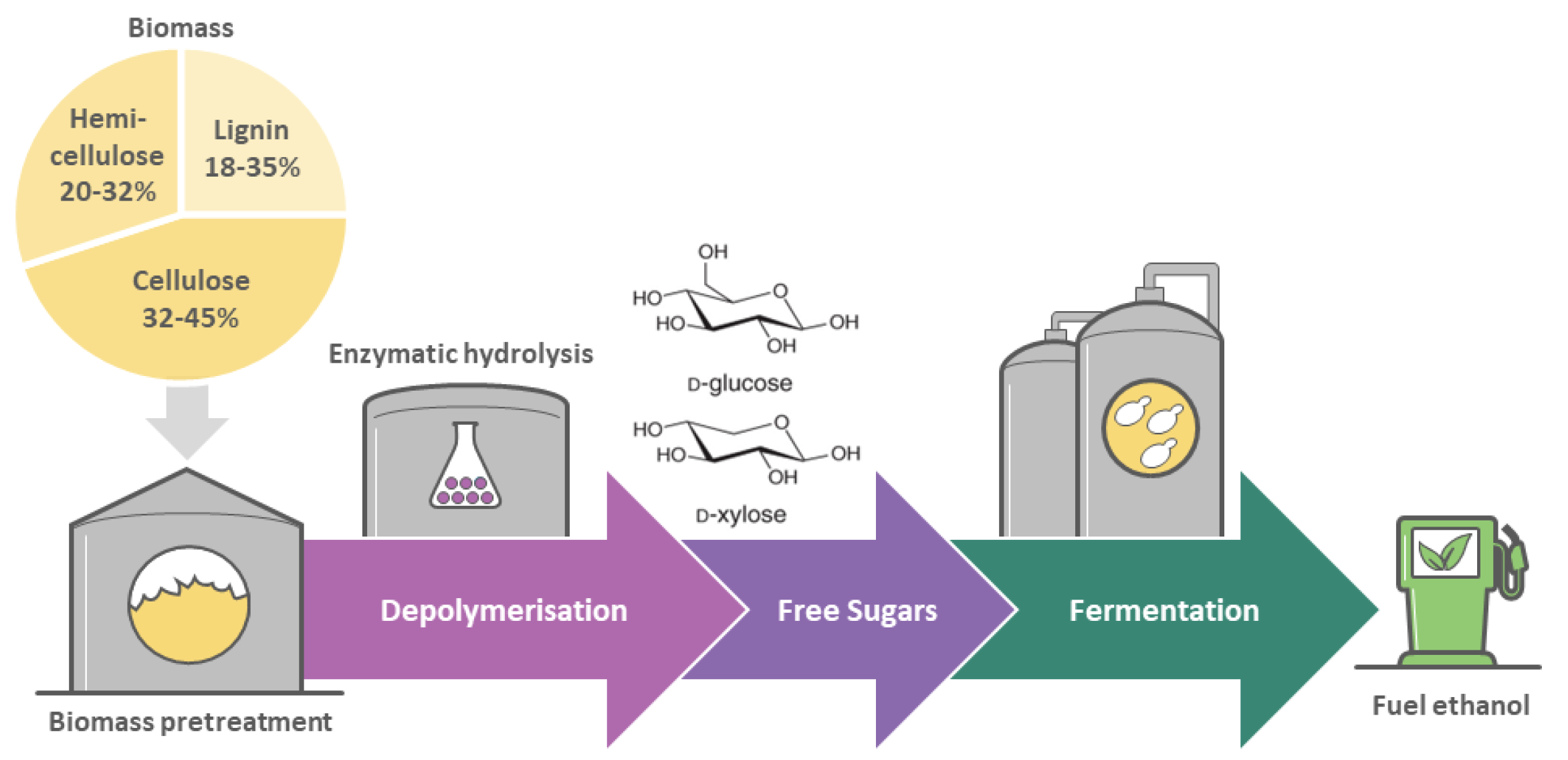 Fermentation 09 00633 g001
