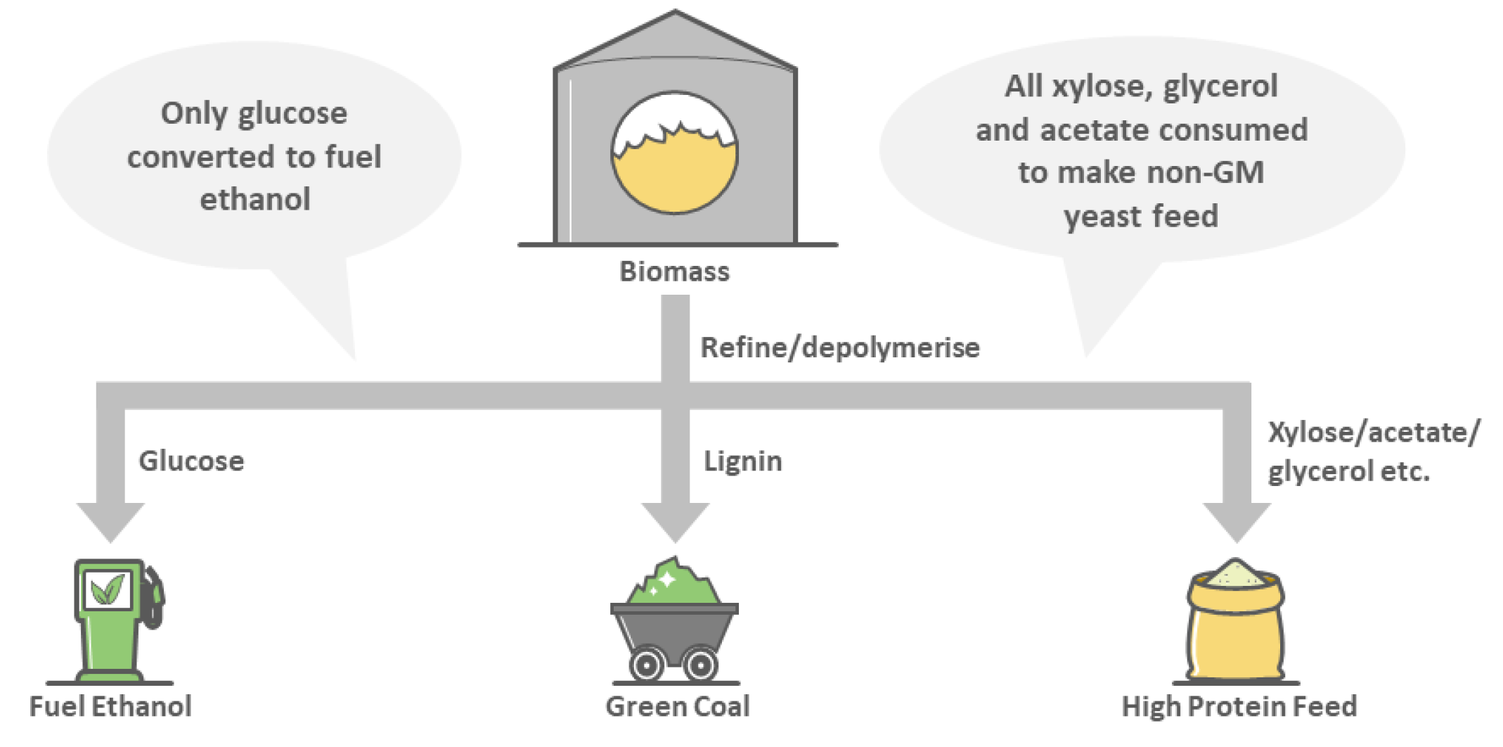 Fermentation 09 00633 g002