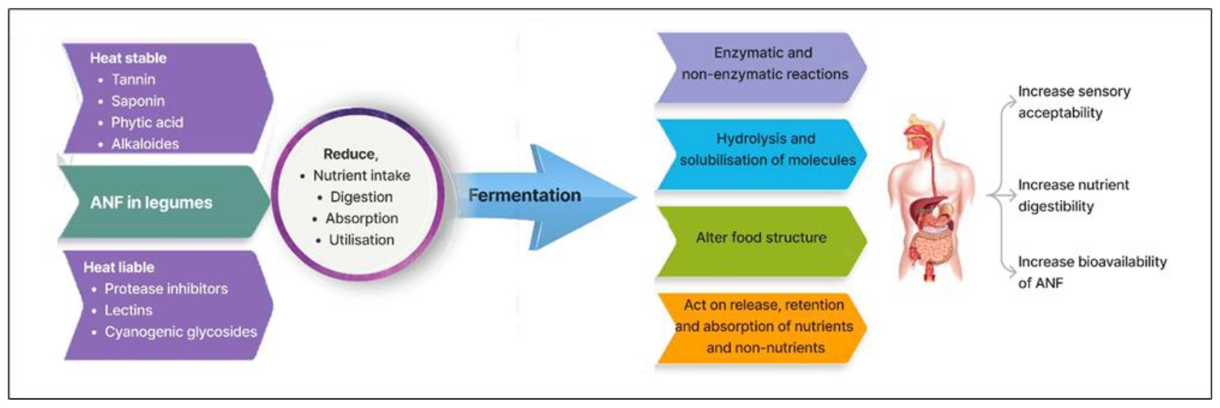 Fermentation 09 00635 g002