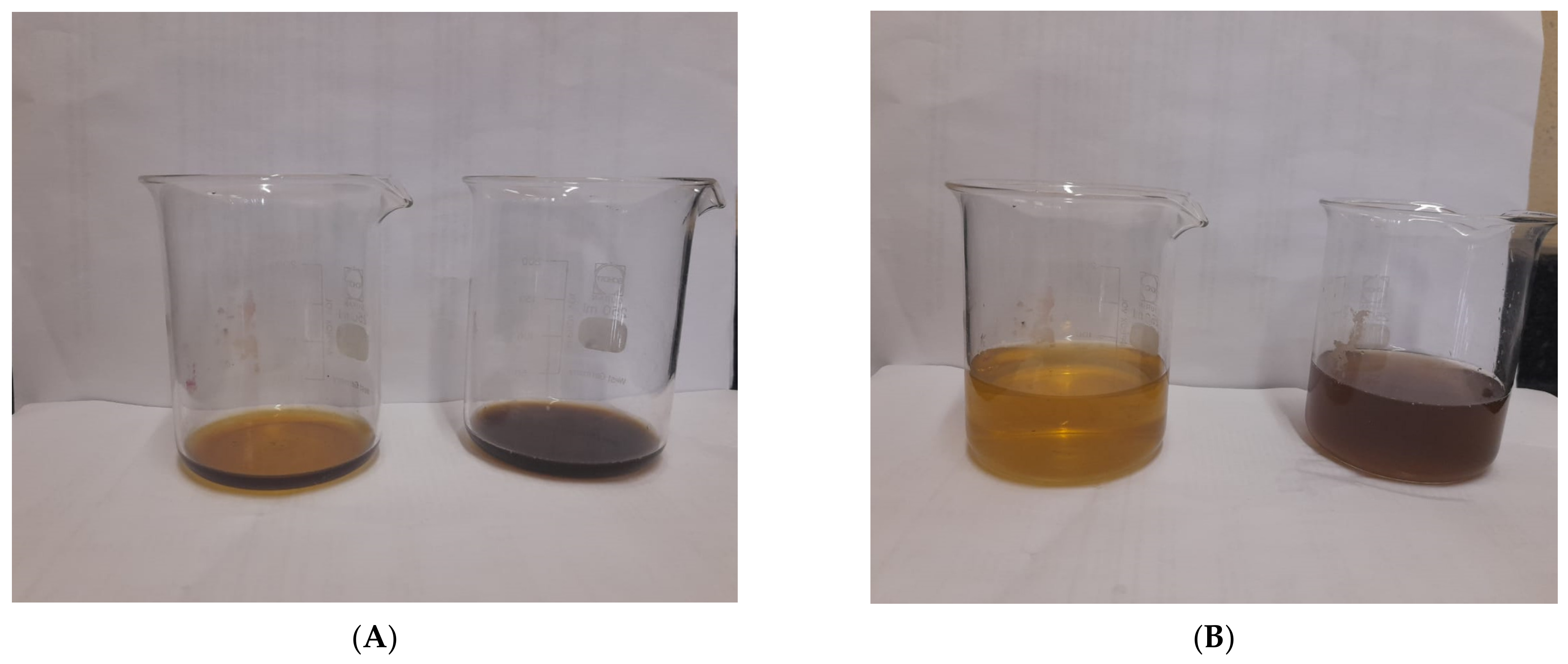 Fermentation 09 00648 g001