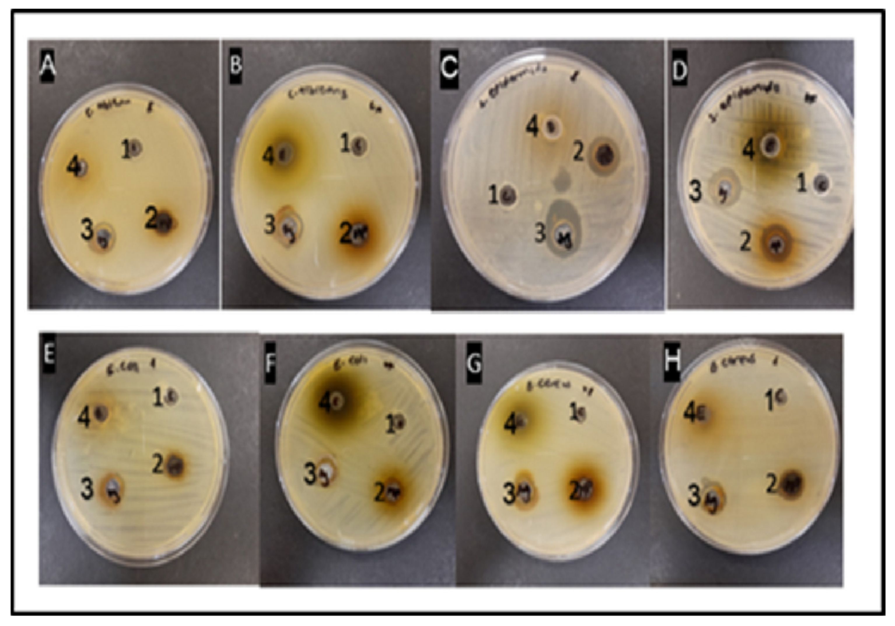 Fermentation 09 00648 g006