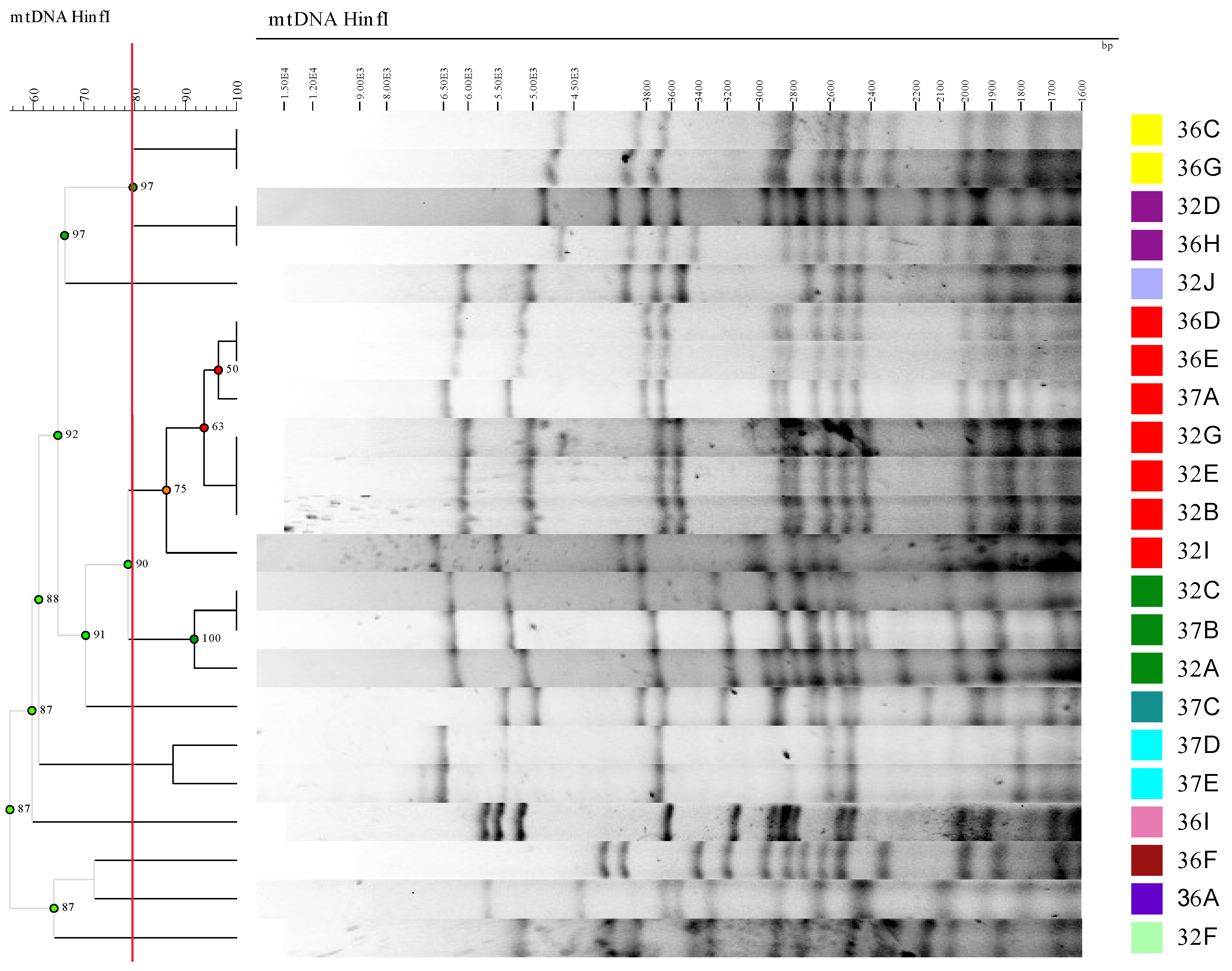 Fermentation 09 00654 g001