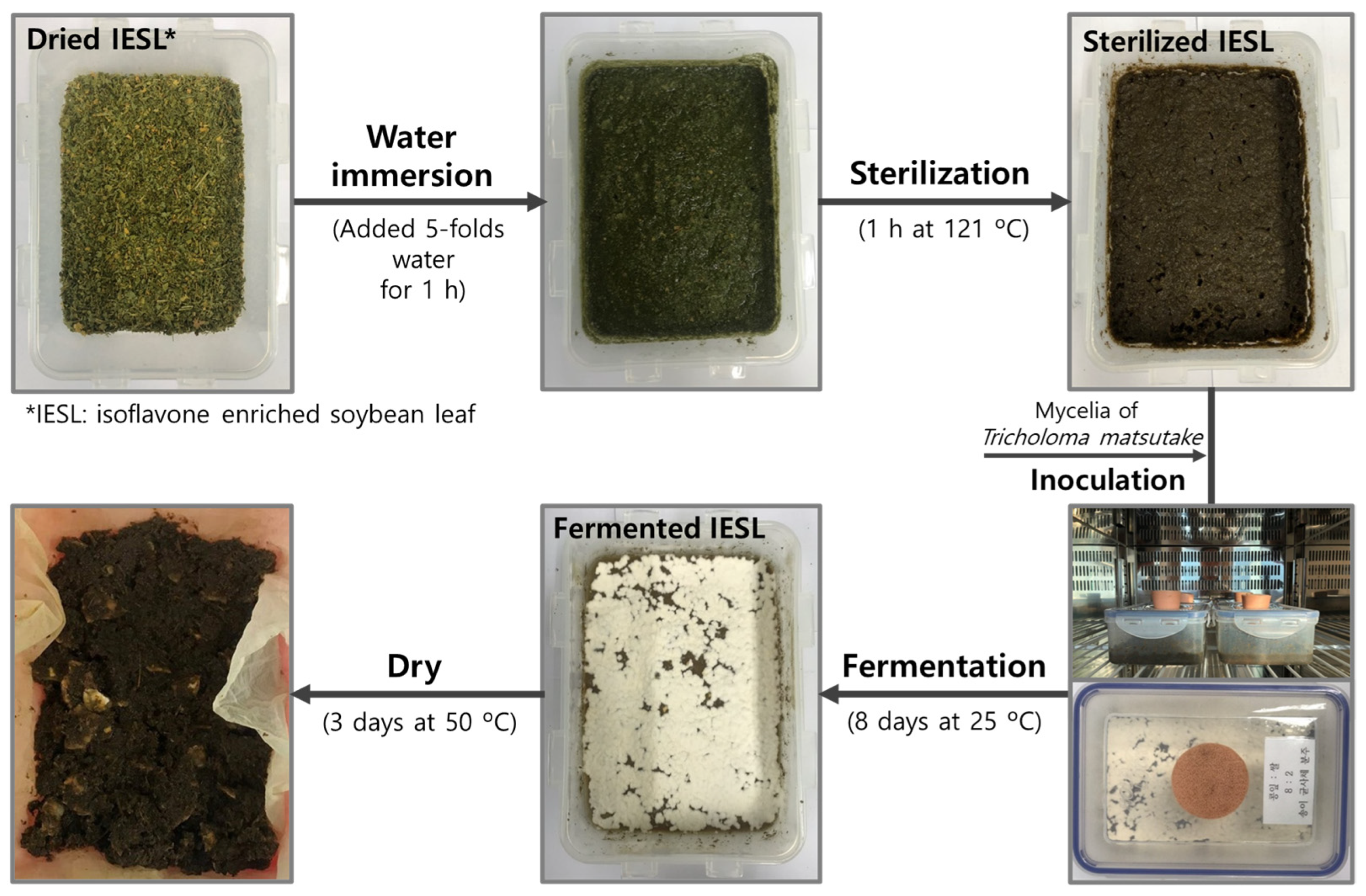 Fermentation 09 00677 g001