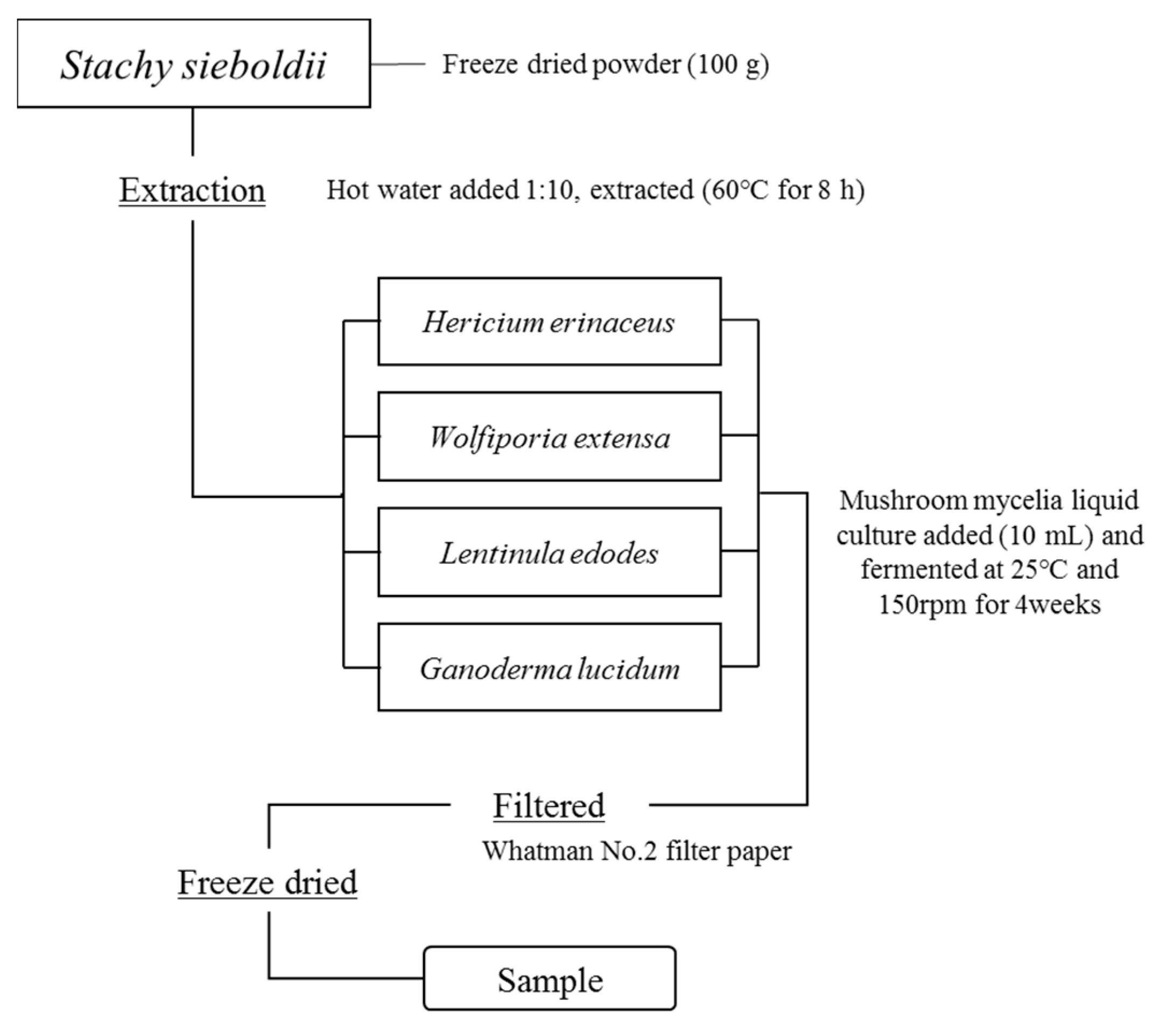 Fermentation 09 00697 g001 Fermentation 09 00697 g001