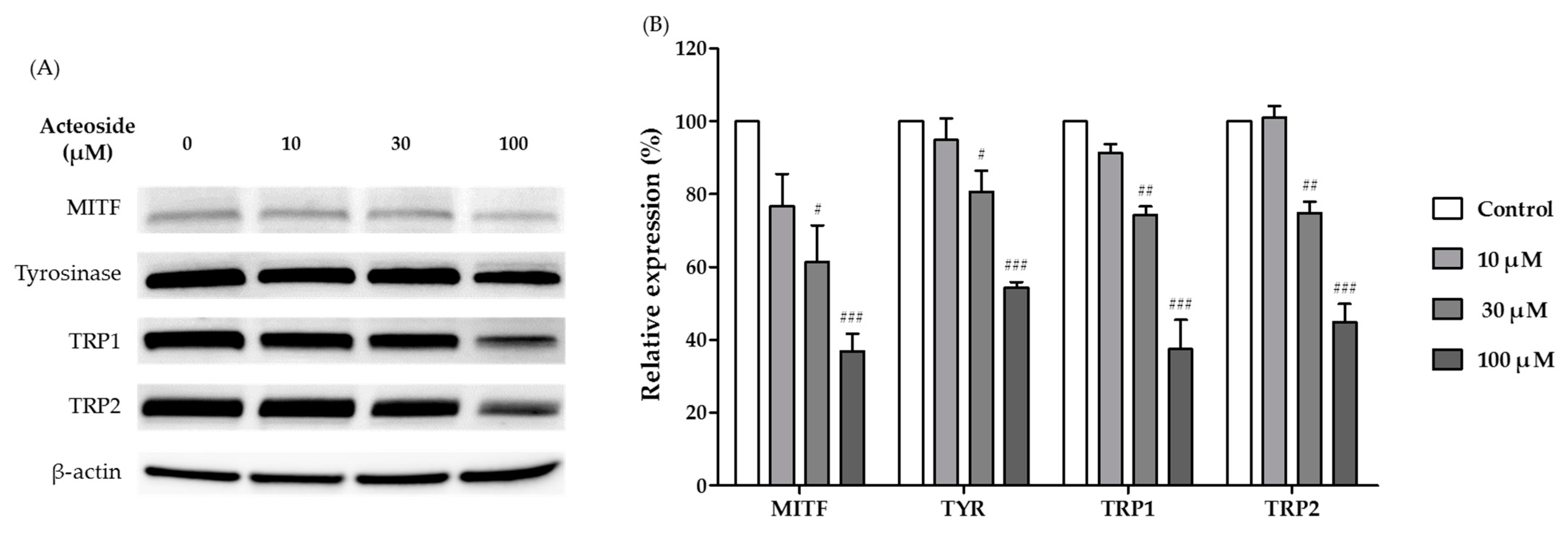 Fermentation 09 00697 g006 Fermentation 09 00697 g006