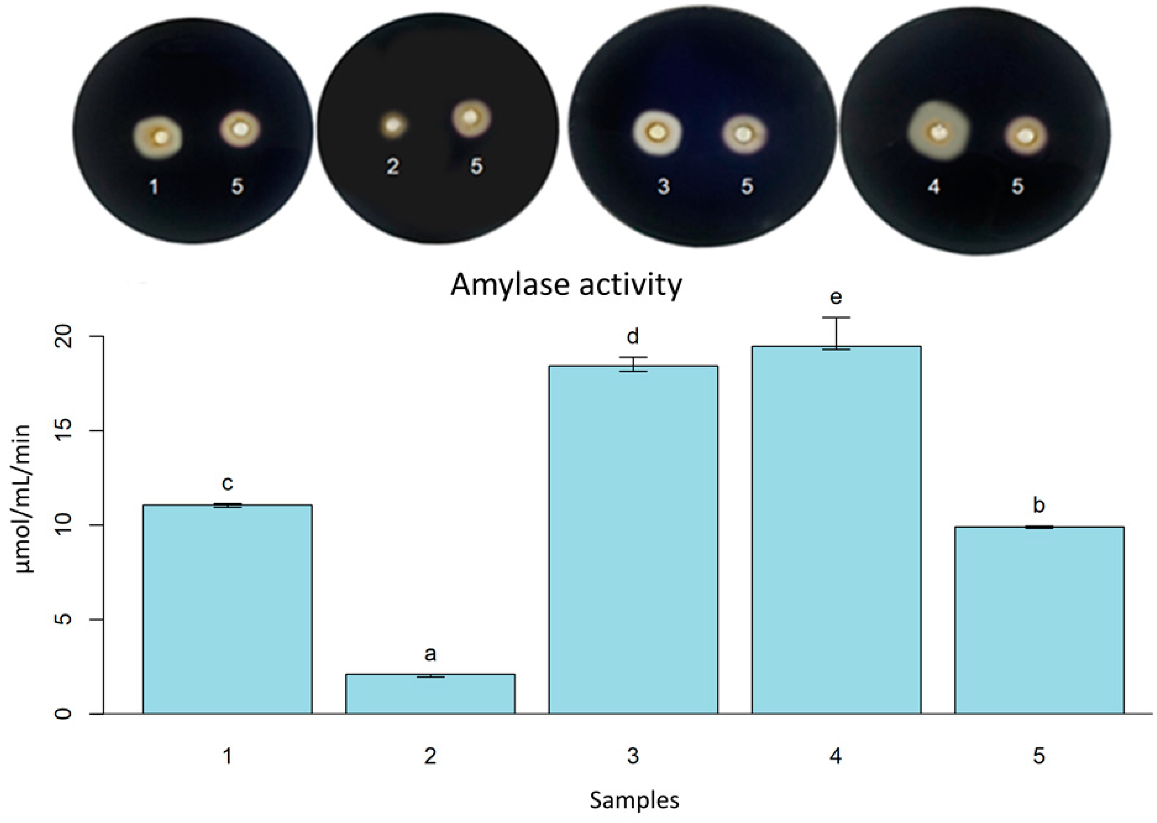 Fermentation 09 00703 g001