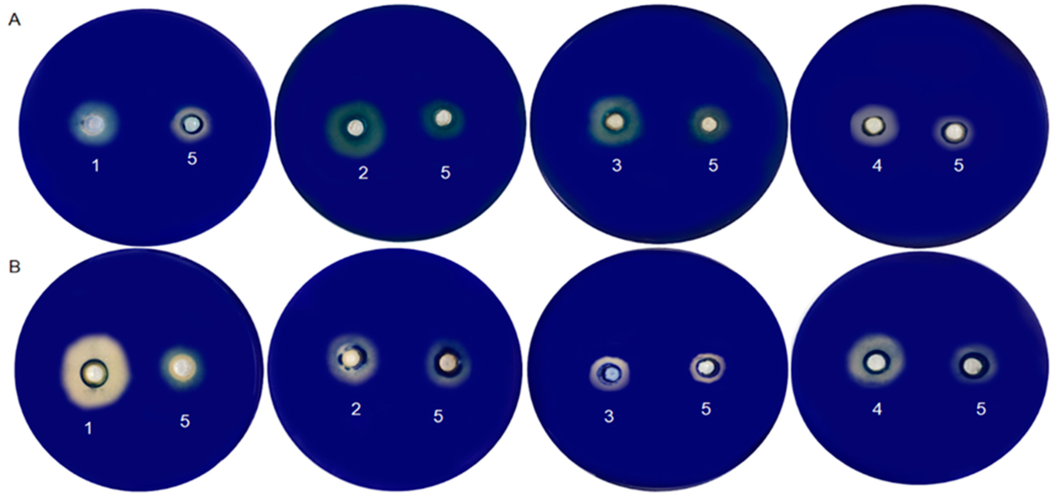 Fermentation 09 00703 g004