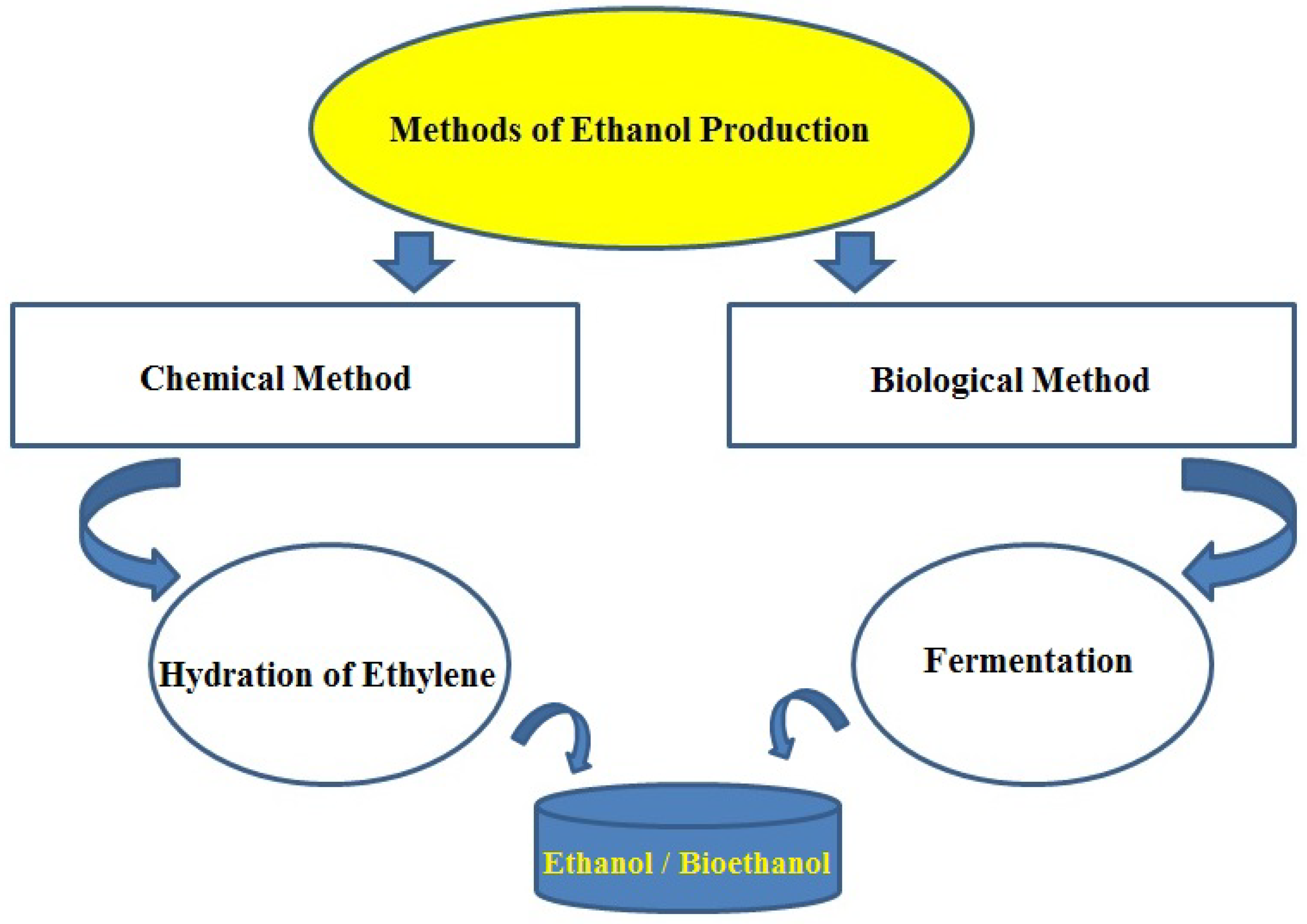 Fermentation 09 00712 g001 Fermentation 09 00712 g001