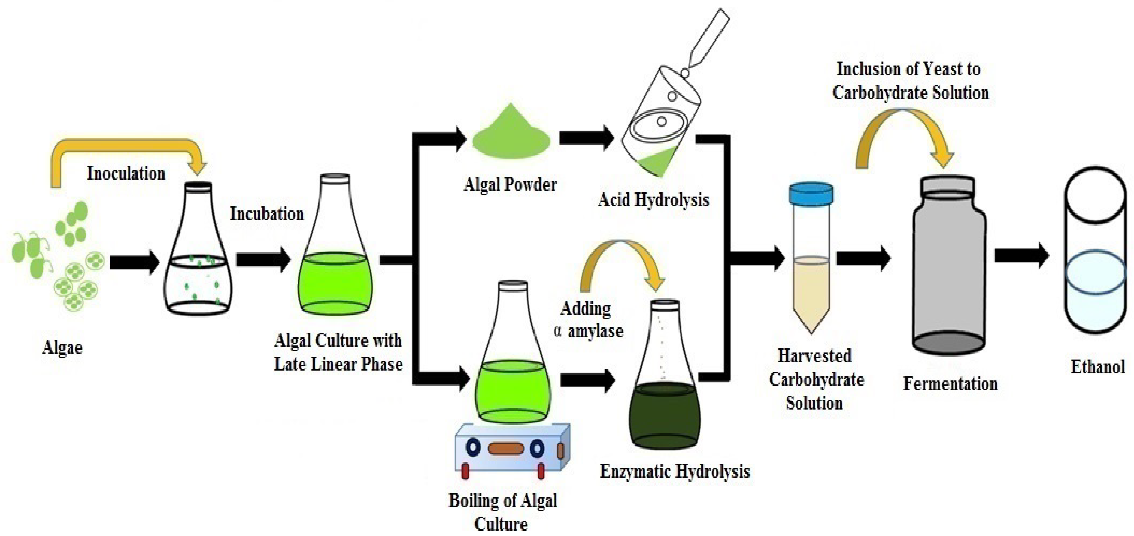 Fermentation 09 00712 g004 Fermentation 09 00712 g004
