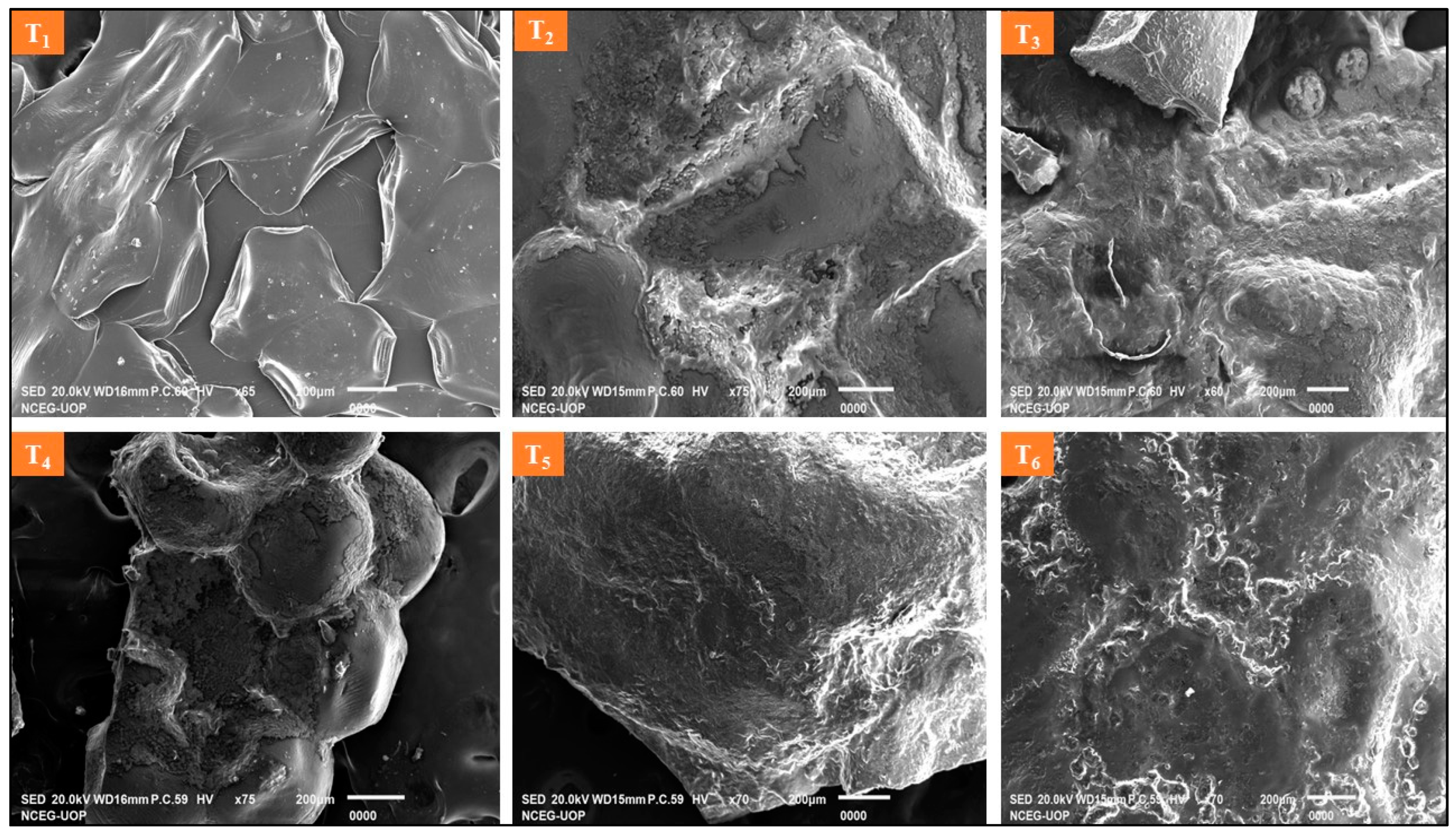 Fermentation 09 00725 g002