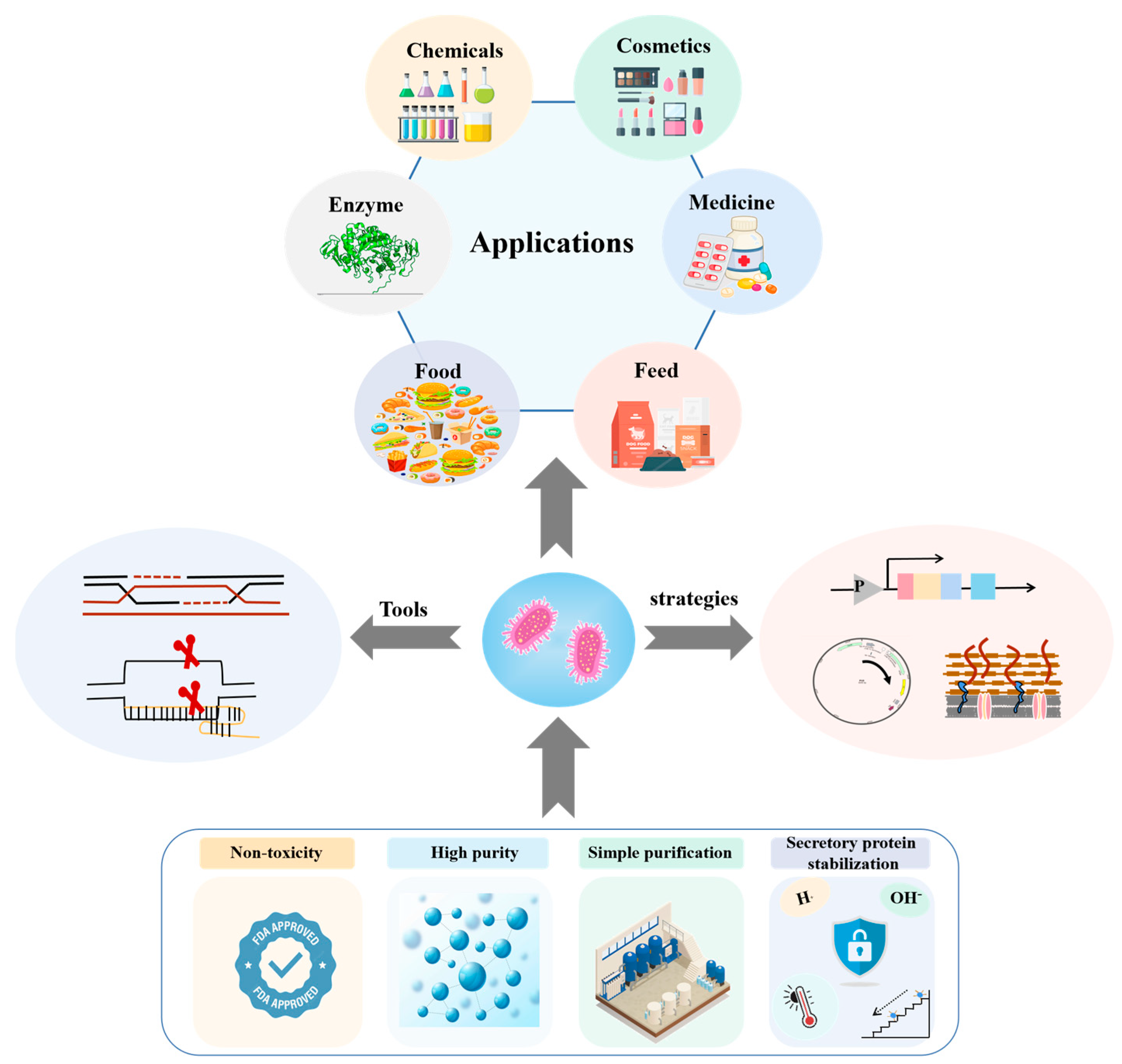 Fermentation 09 00729 g001