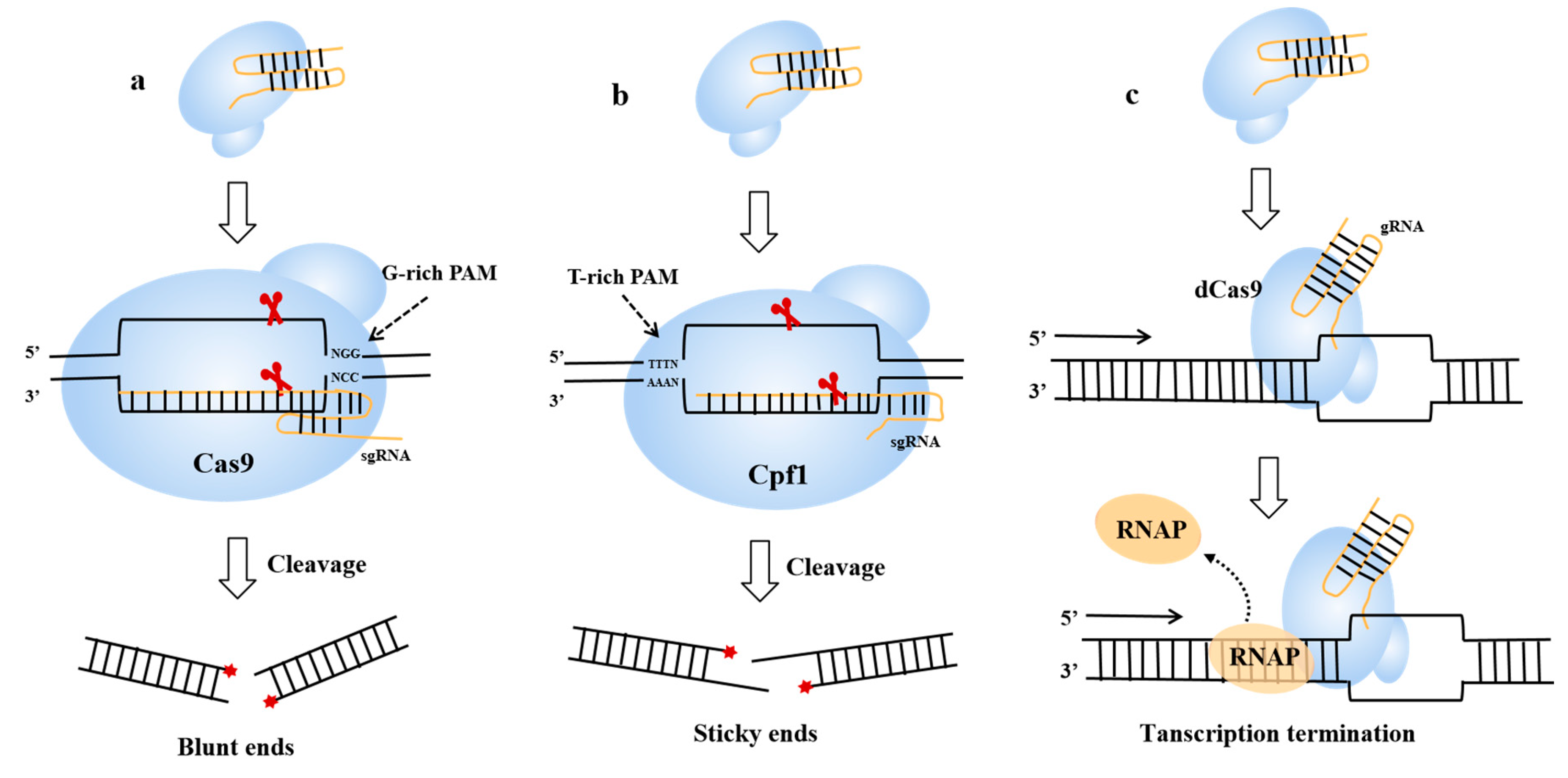 Fermentation 09 00729 g002