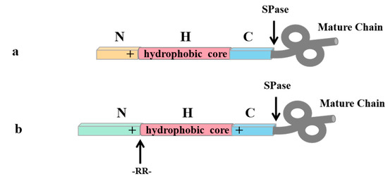 Fermentation 09 00729 g004