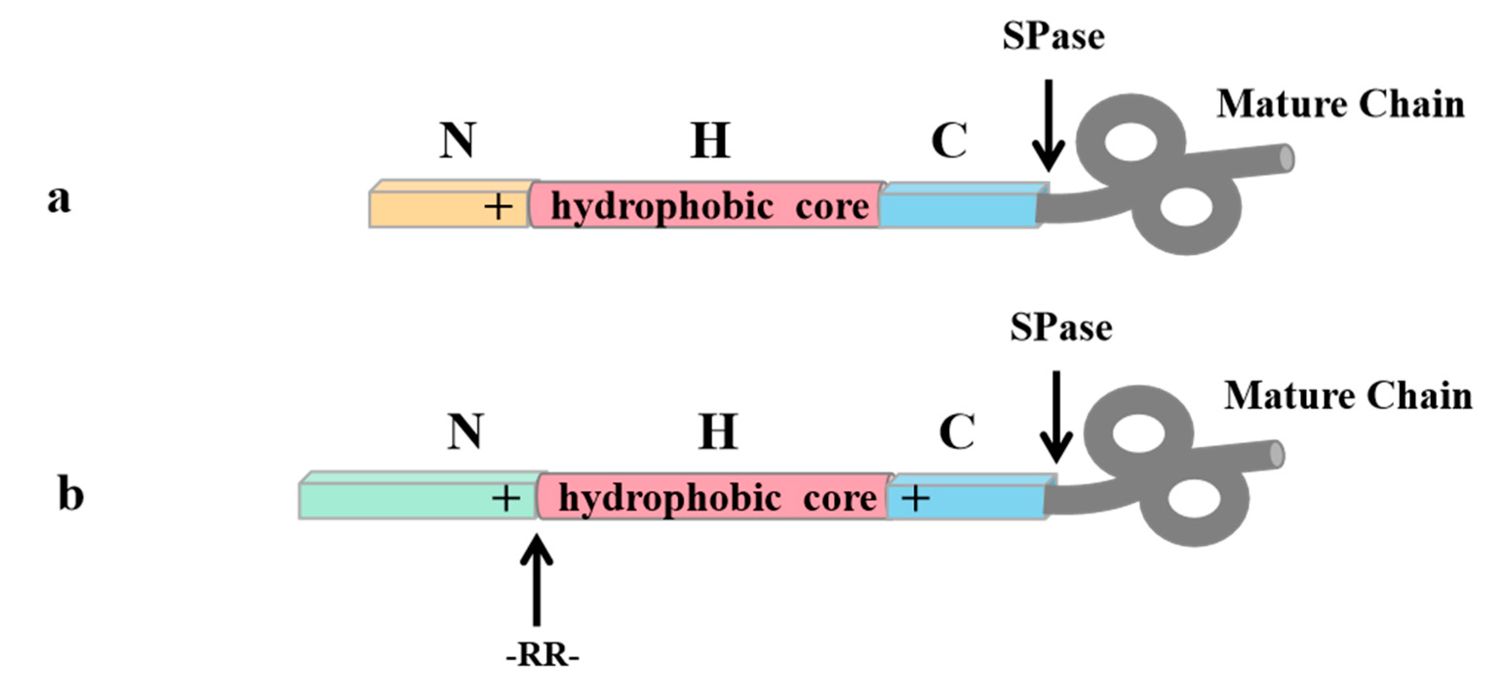 Fermentation 09 00729 g004