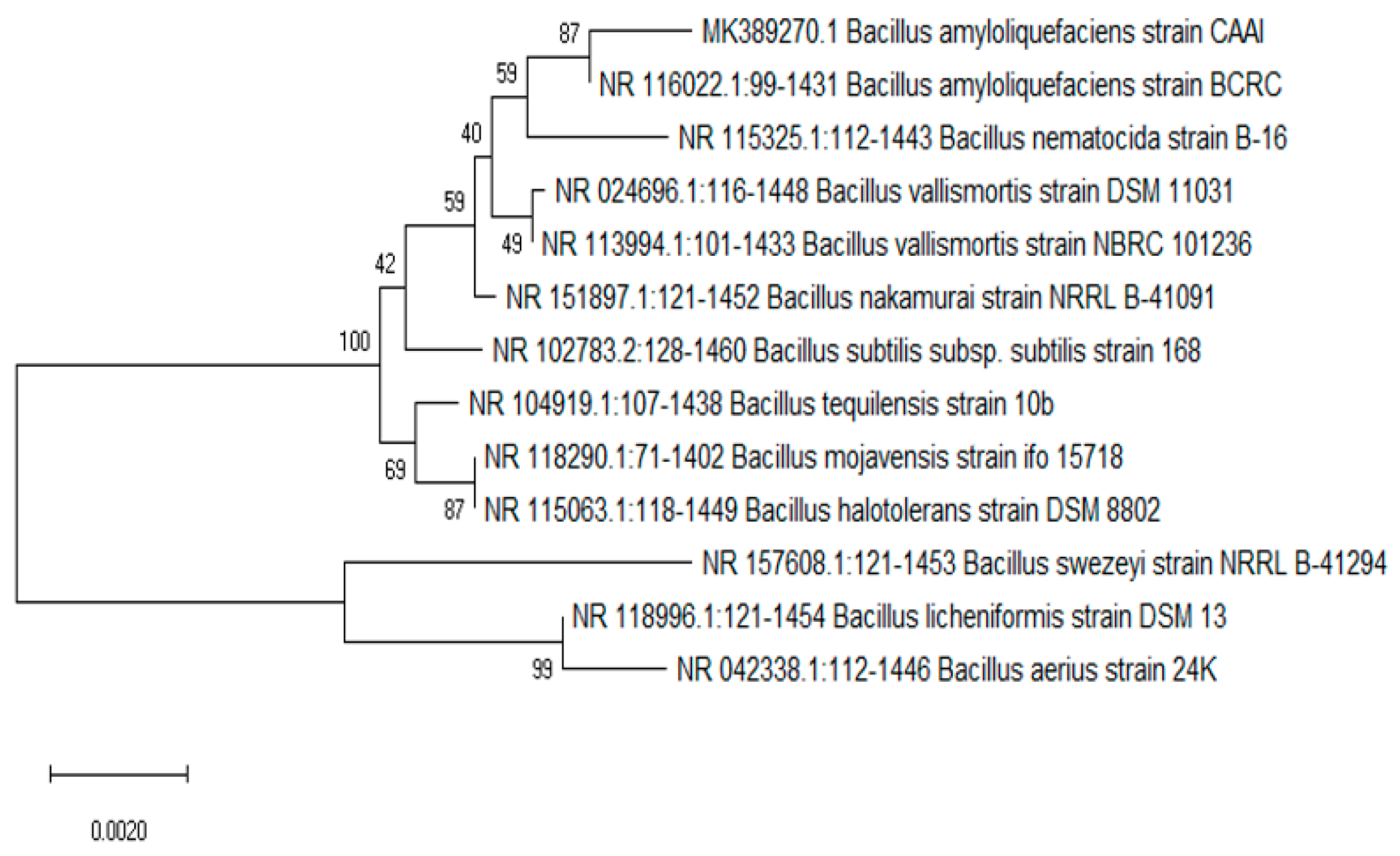 Fermentation 09 00749 g002