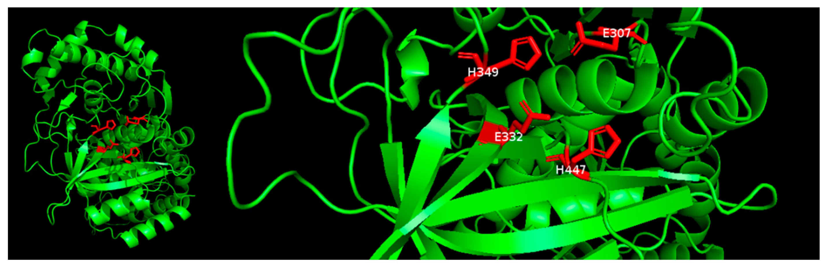 Fermentation 09 00749 g005