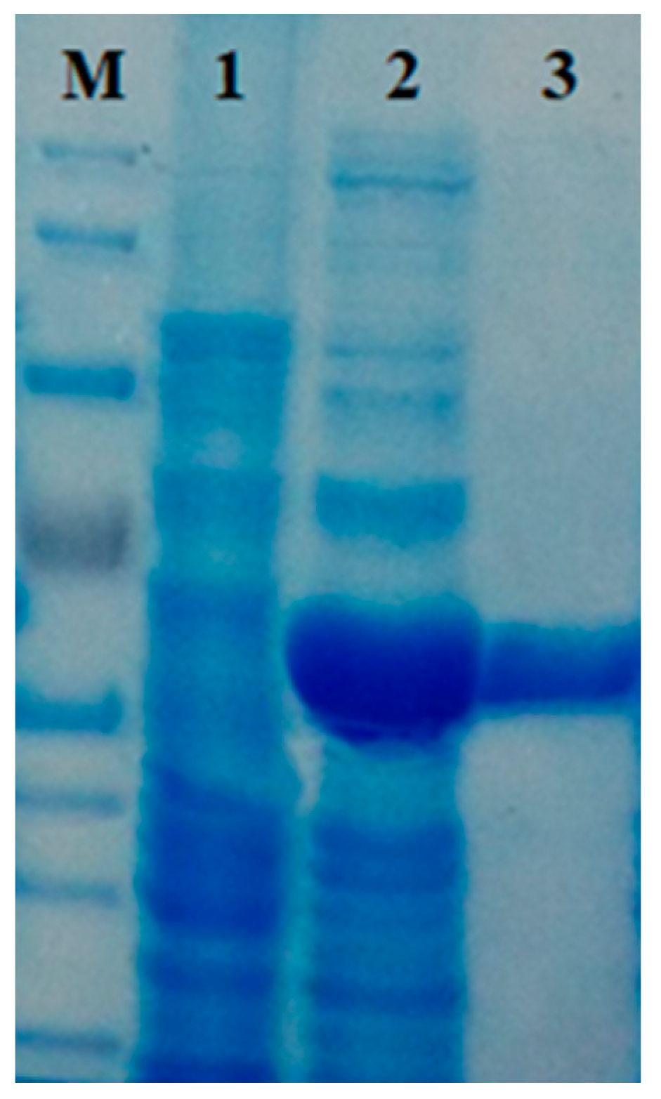 Fermentation 09 00749 g006