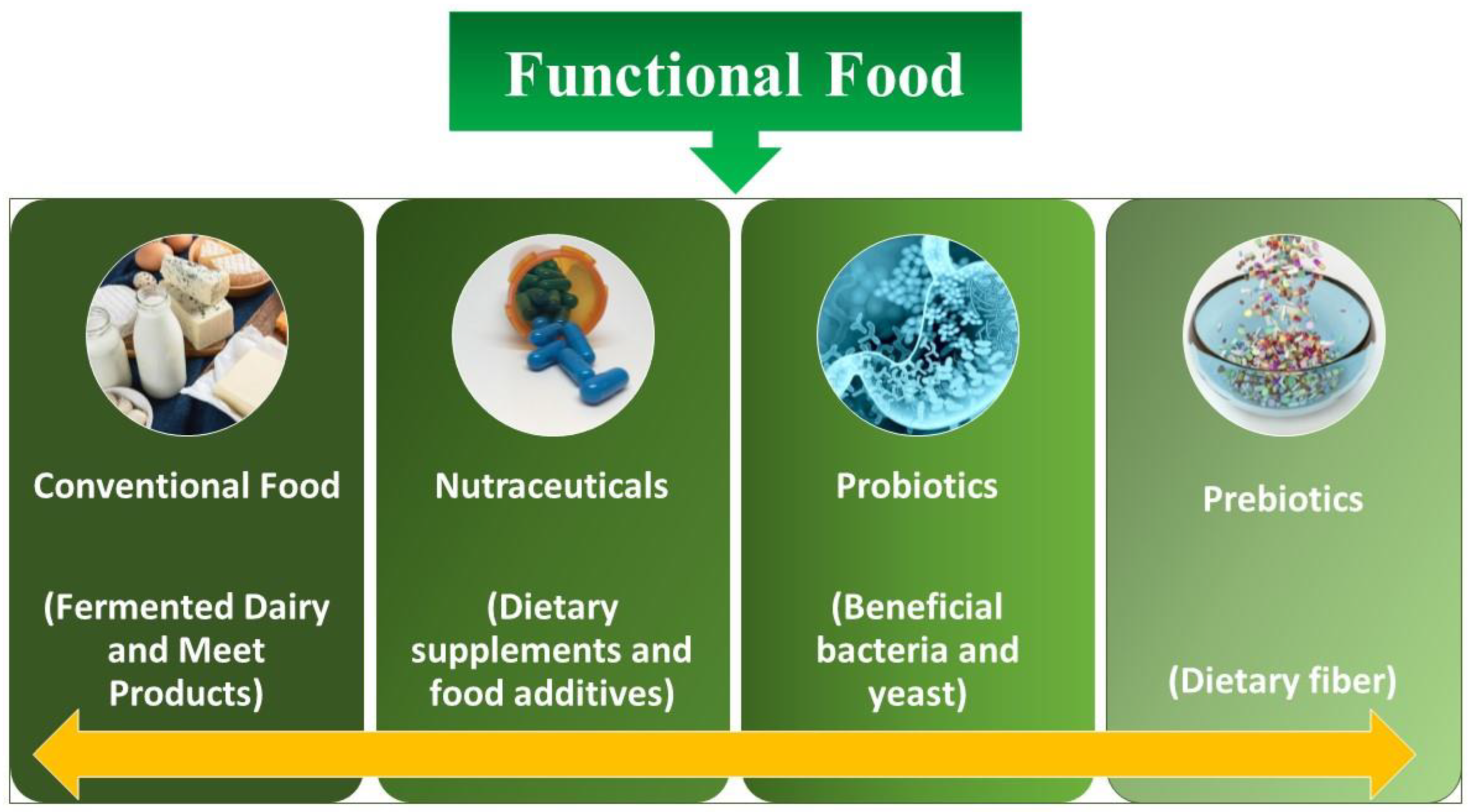 Fermentation 09 00762 g001
