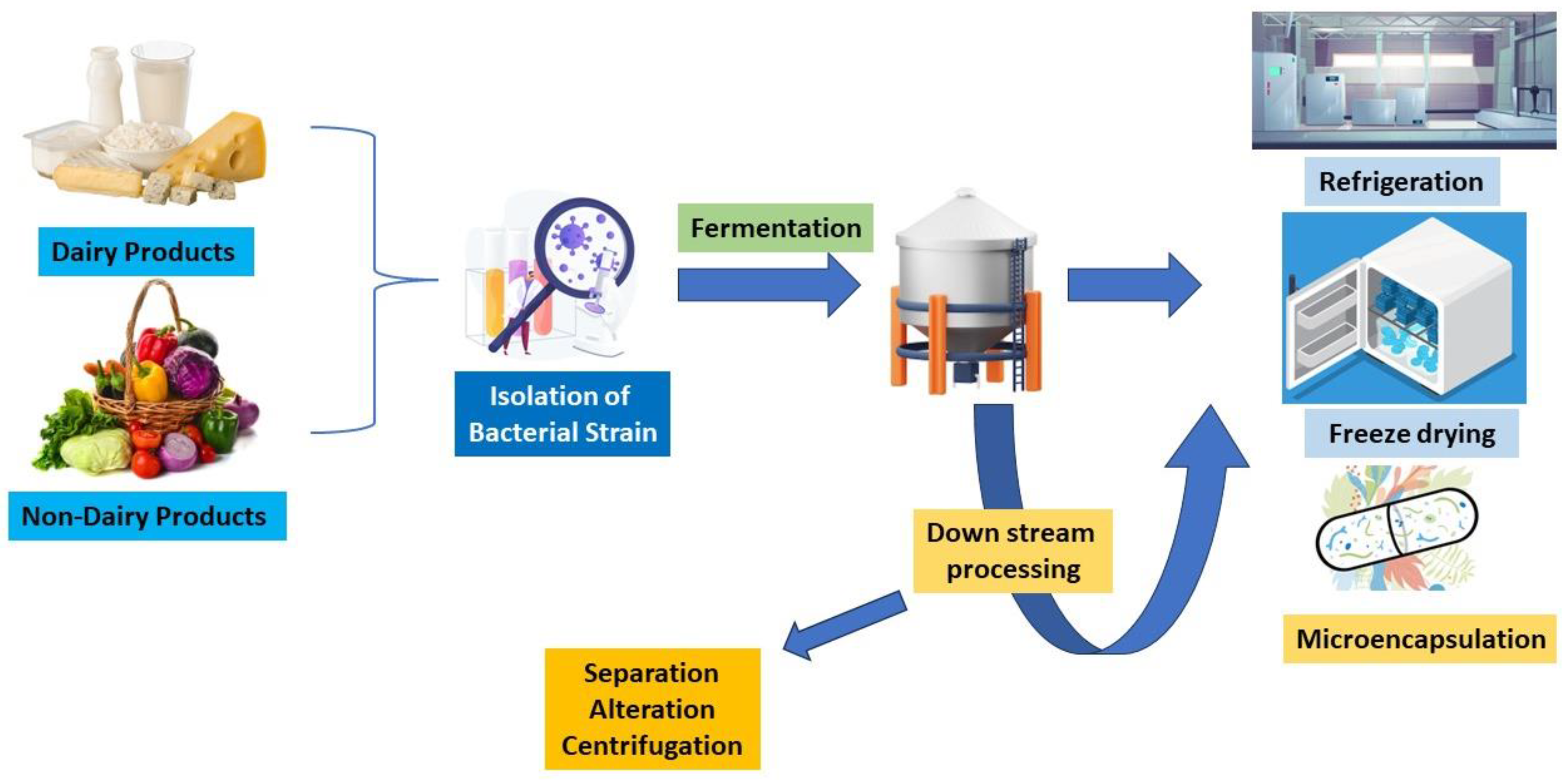 Fermentation 09 00762 g002