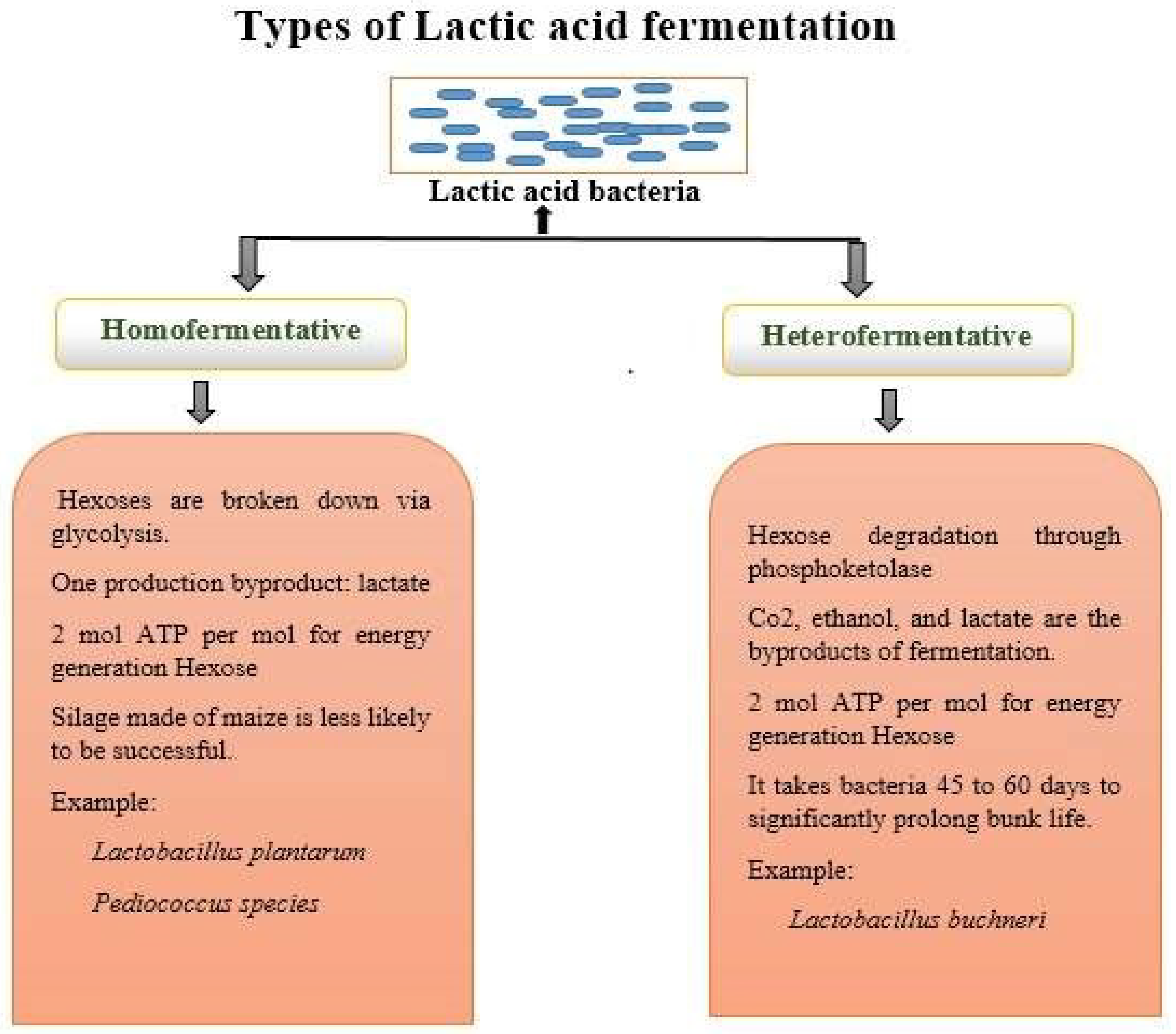 Fermentation 09 00762 g003