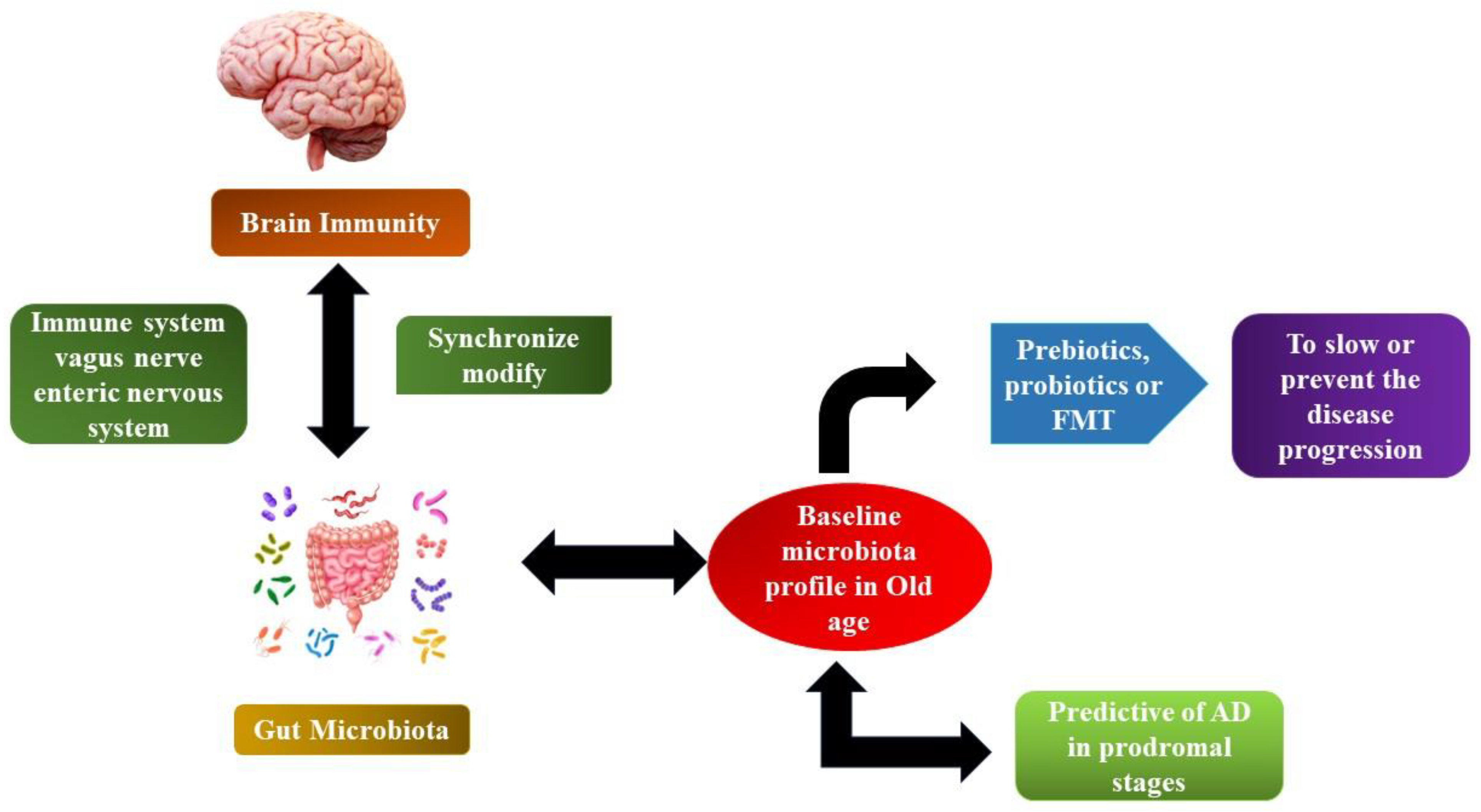 Fermentation 09 00762 g005