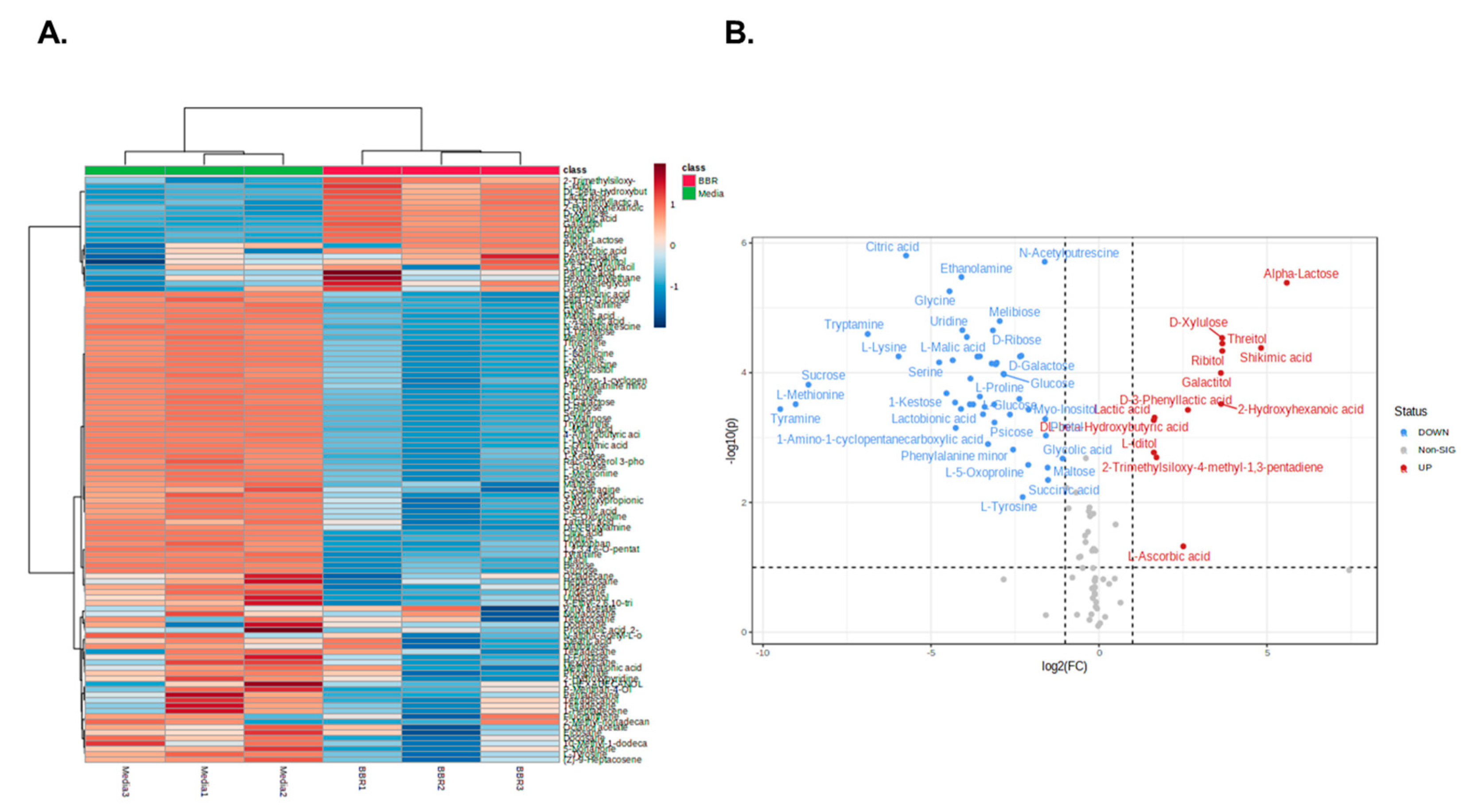 Fermentation 09 00766 g006