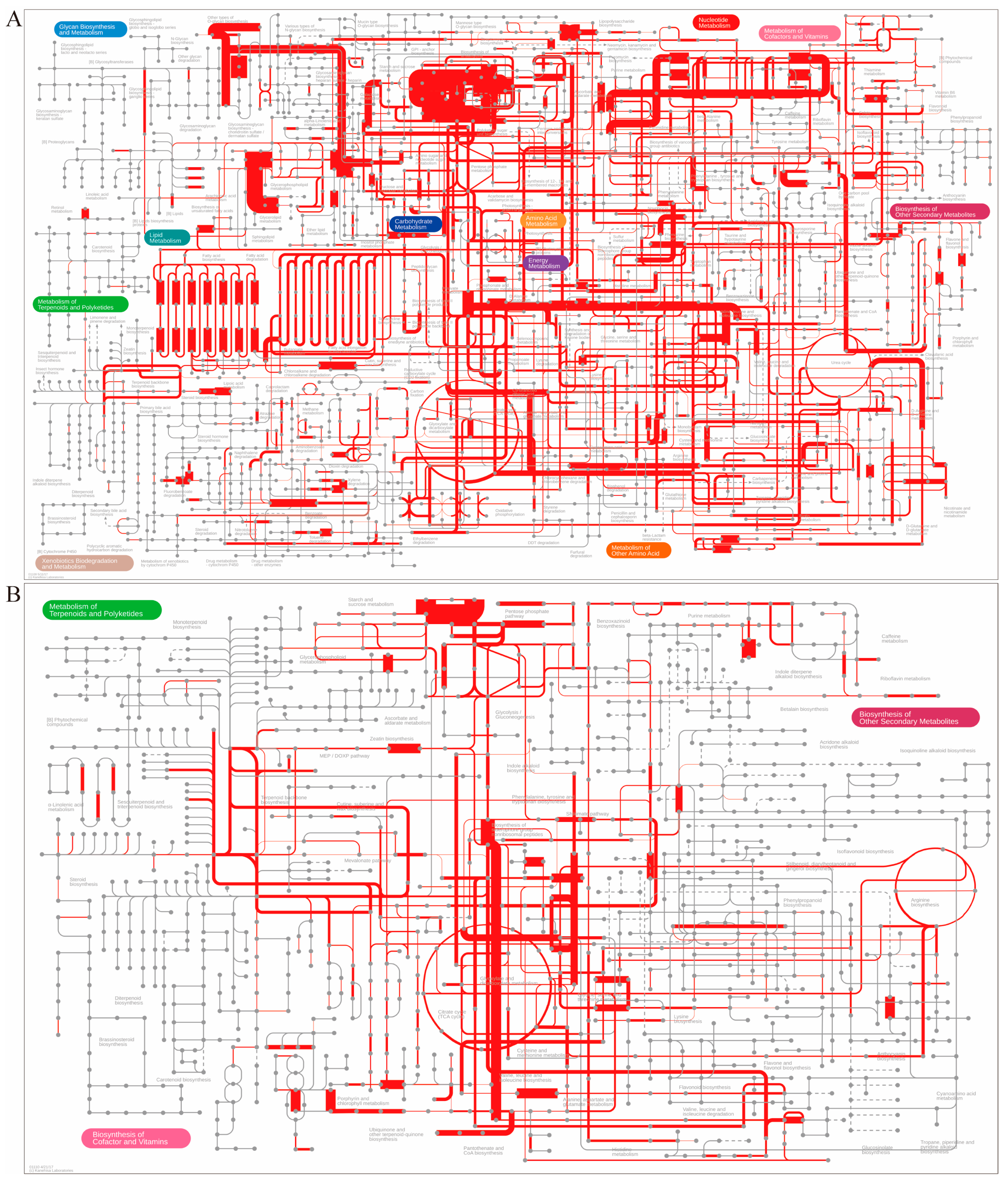 Fermentation 09 00772 g006
