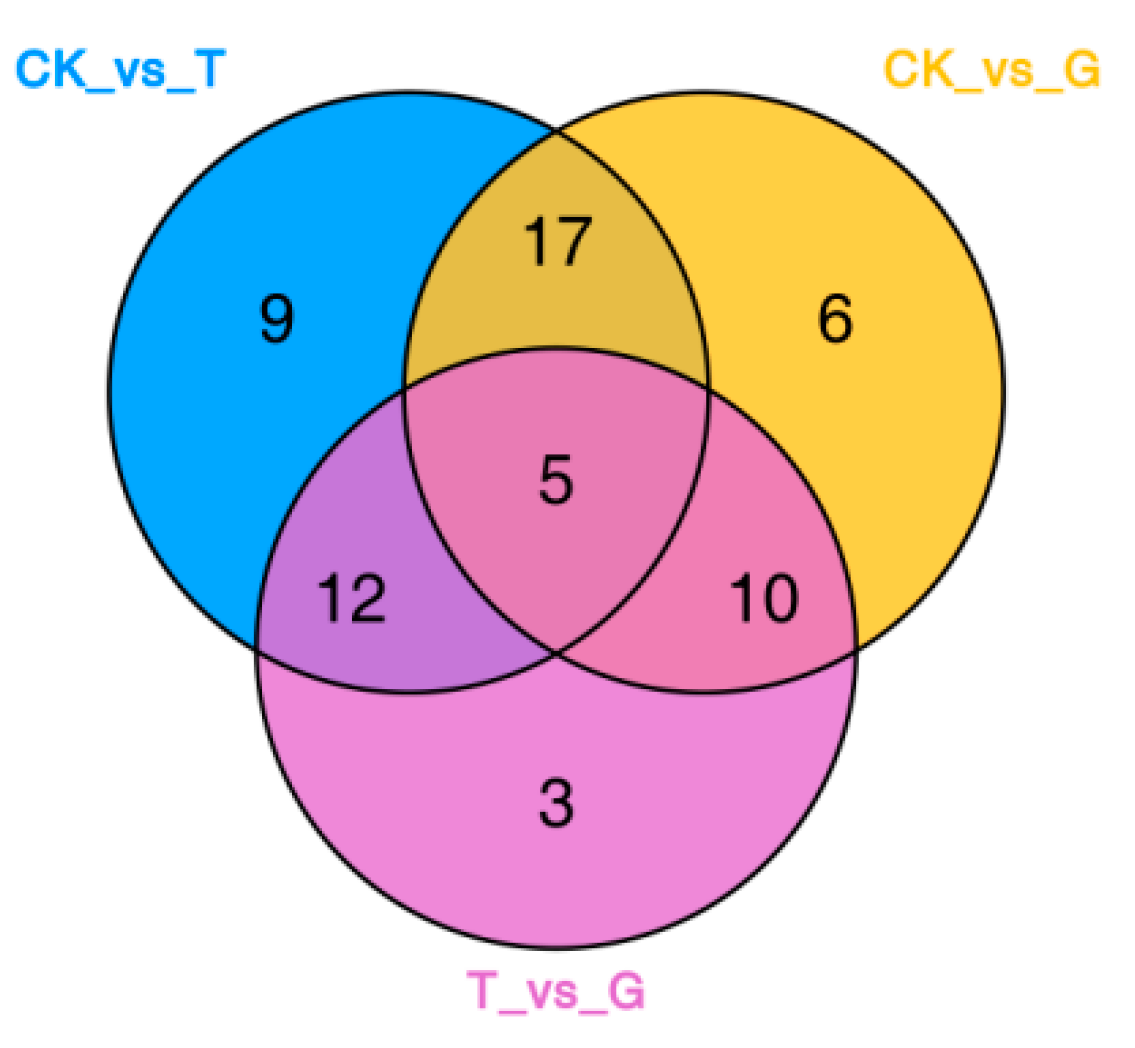 Fermentation 09 00815 g004