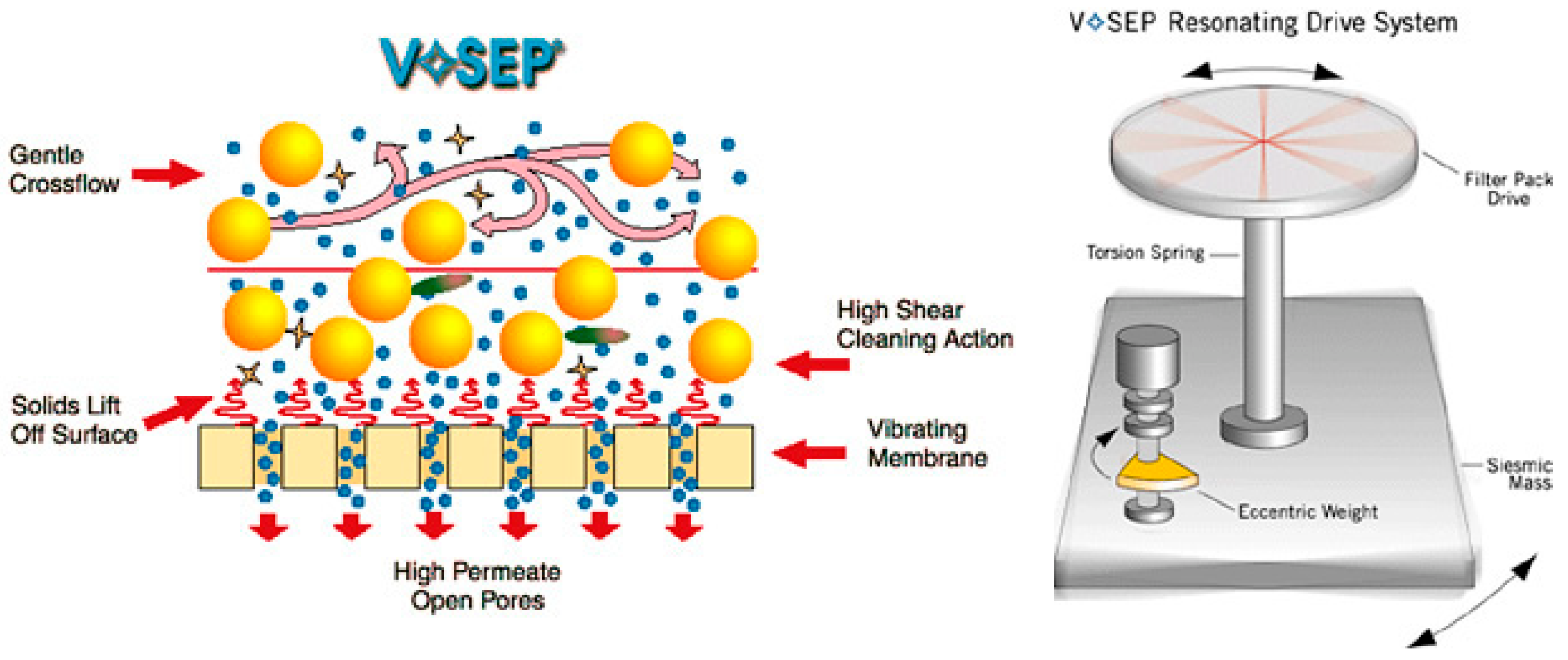 Fermentation 09 00821 g004