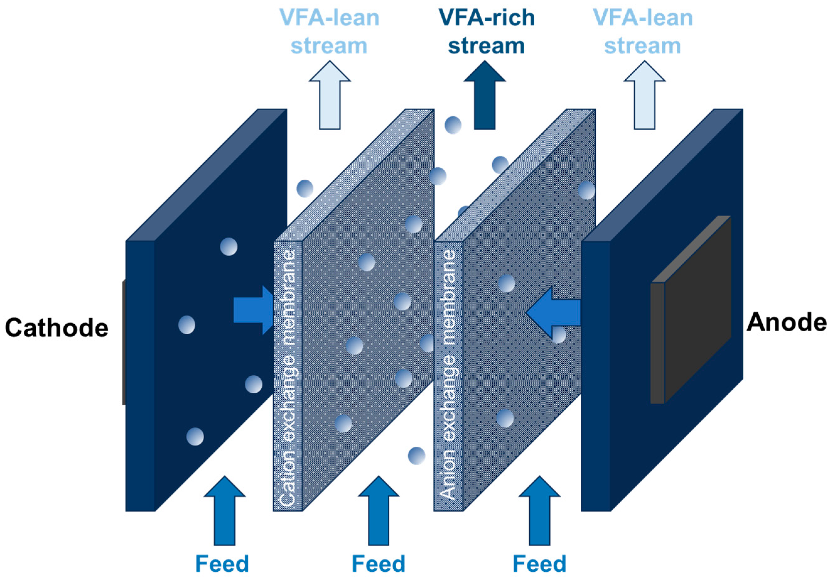 Fermentation 09 00821 g005