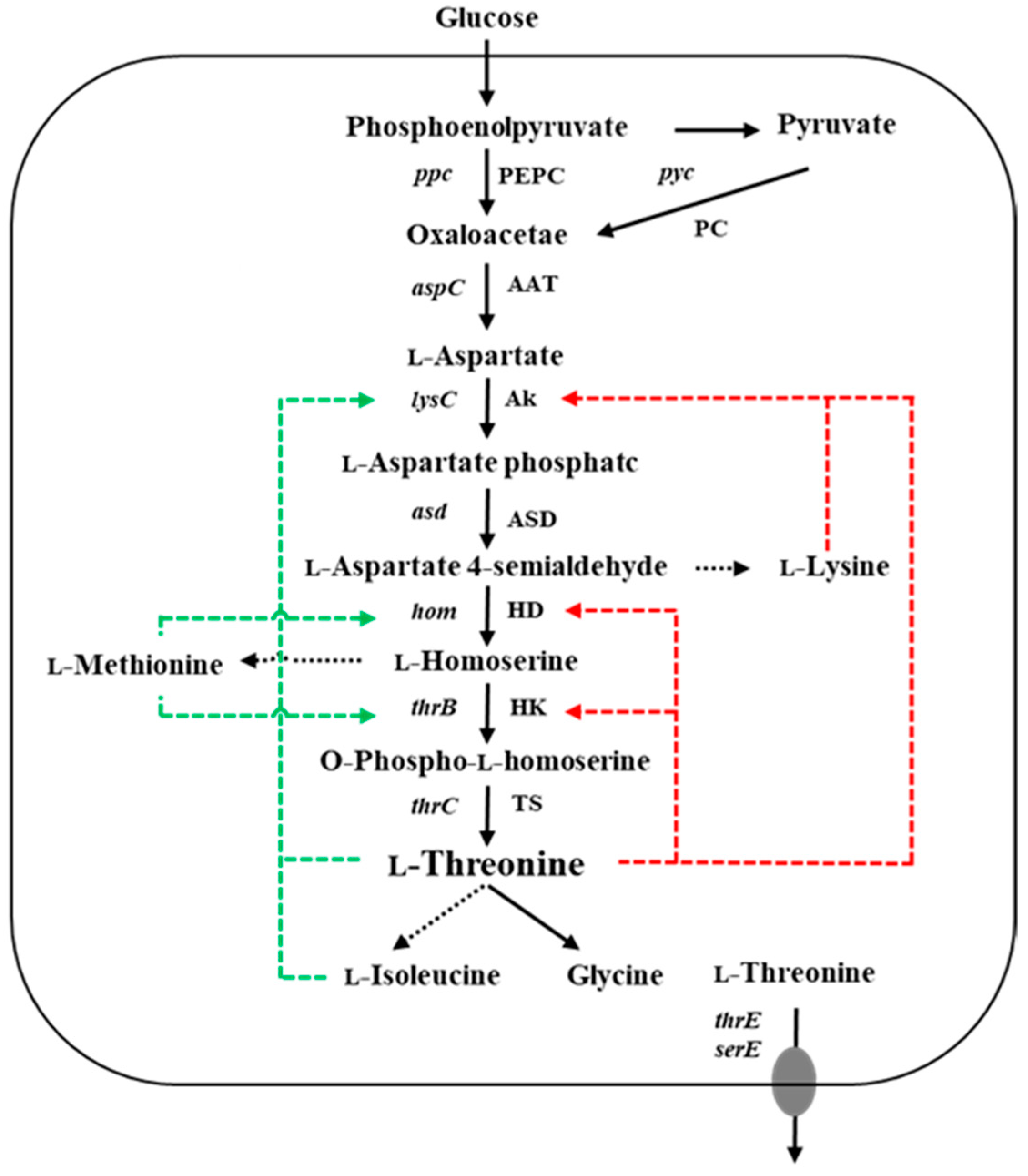 Fermentation 09 00822 g001