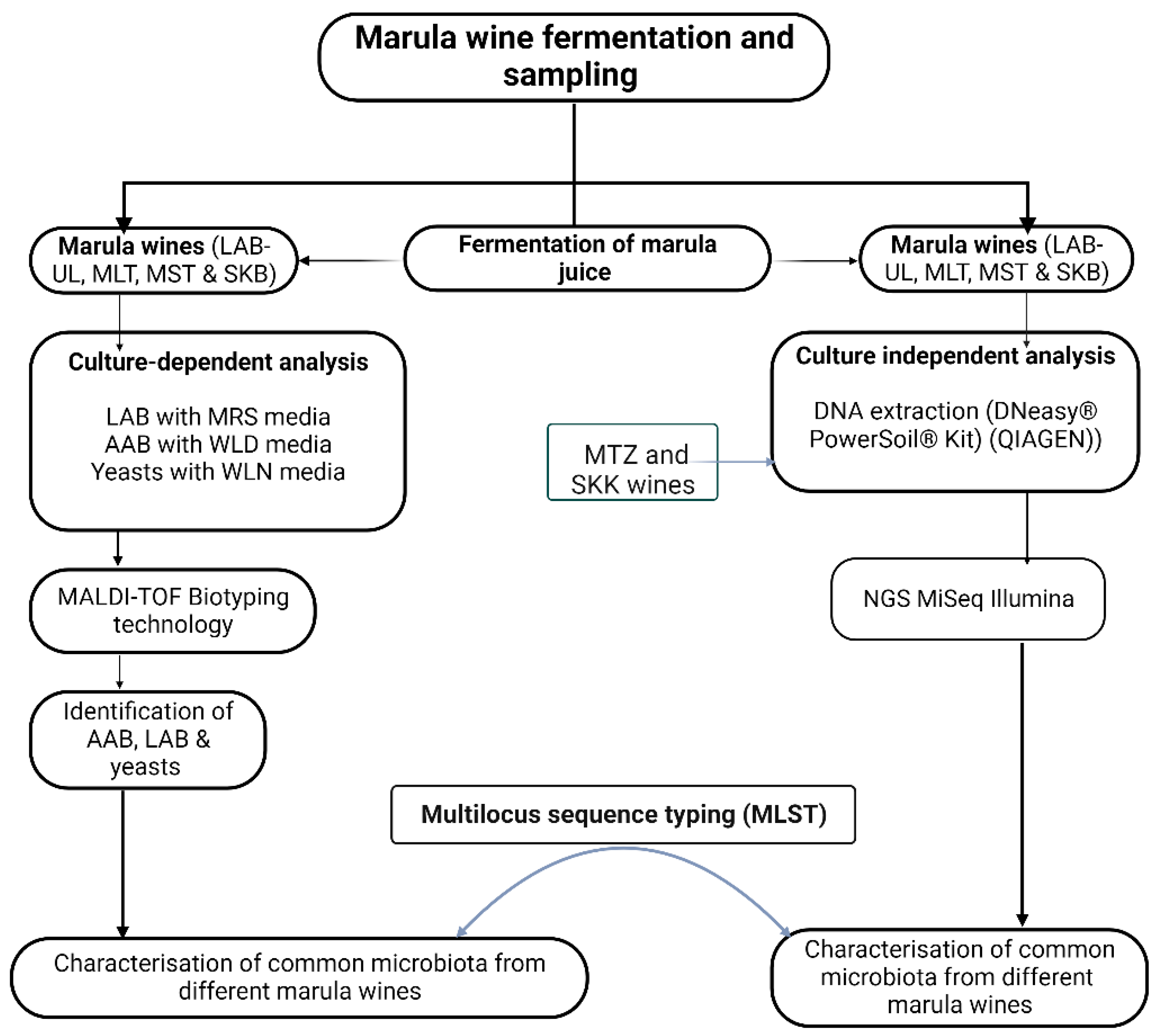 Fermentation 09 00862 g001