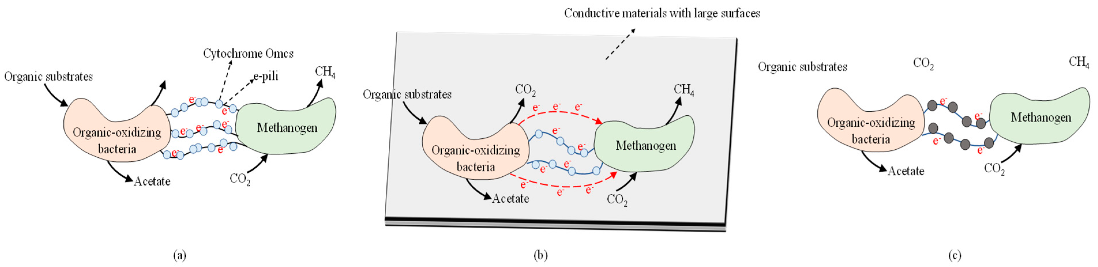 Fermentation 09 00884 g003