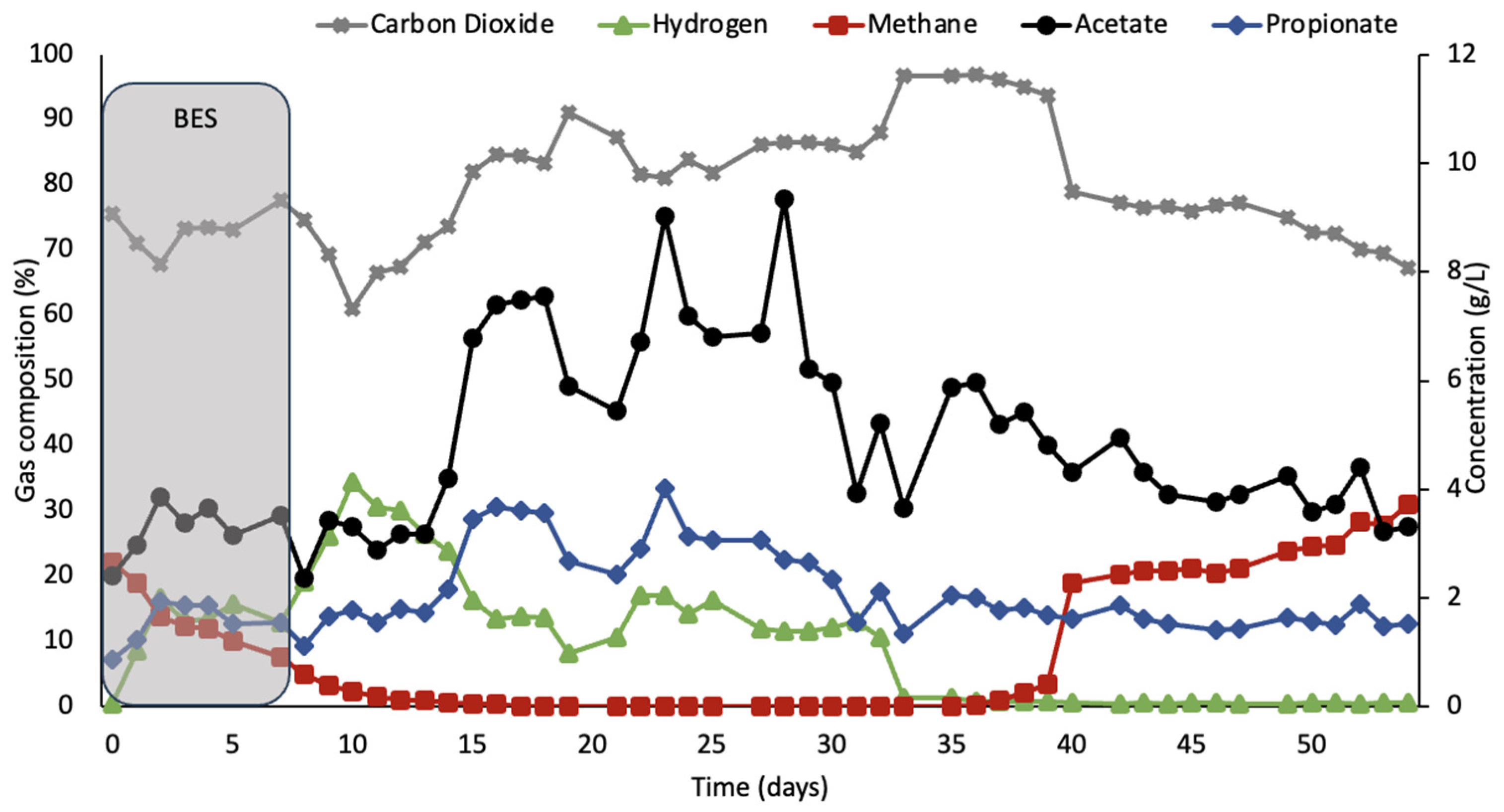 Fermentation 09 00885 g002