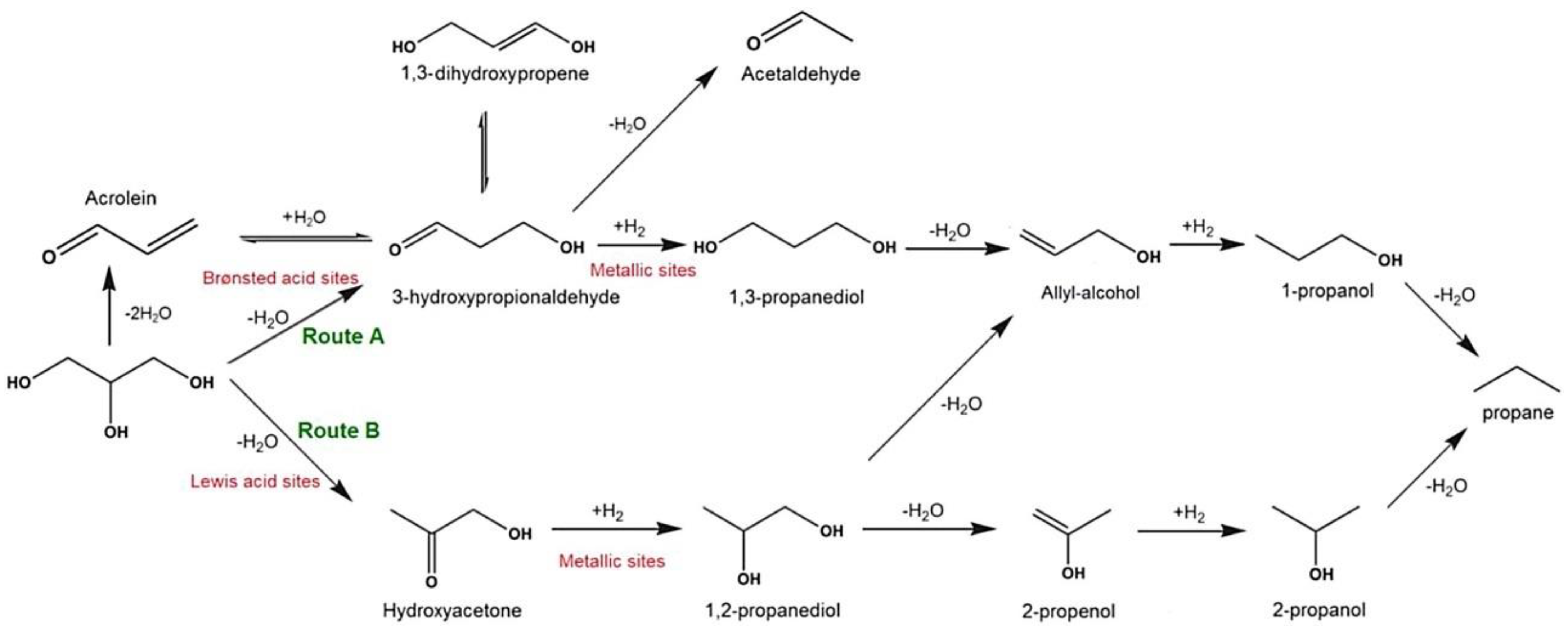 Fermentation 09 00894 g004