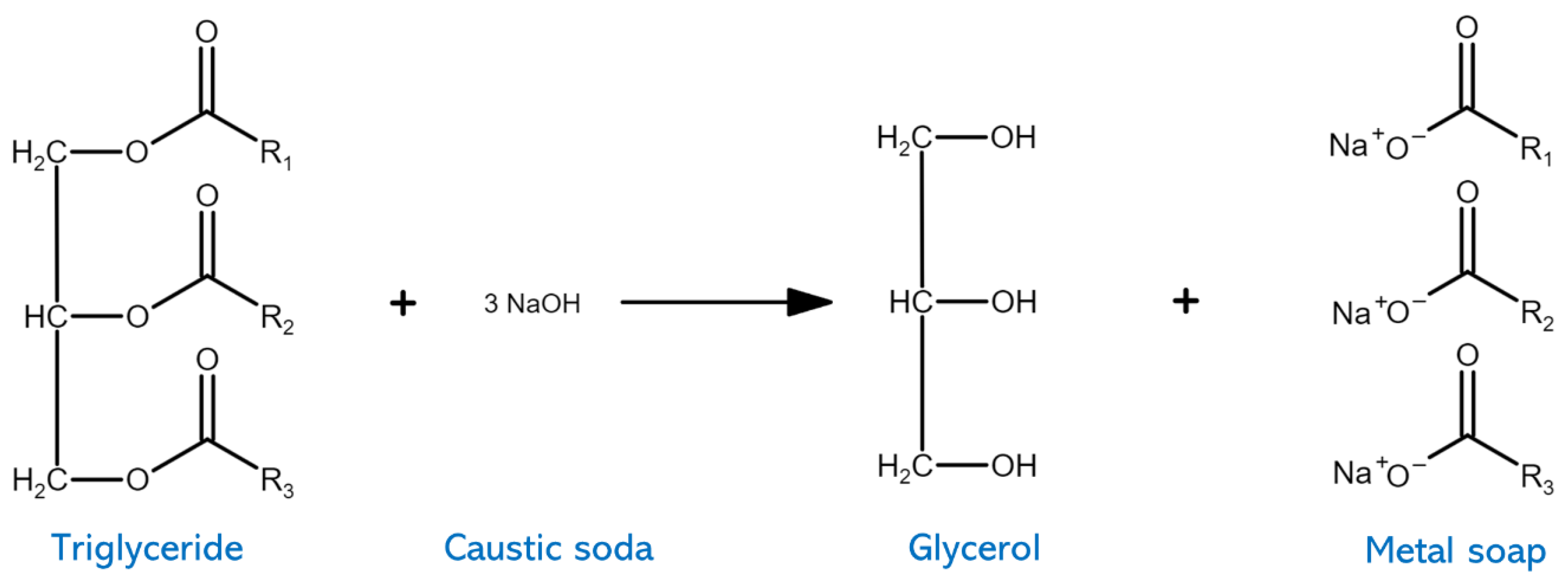 Fermentation 09 00894 g005
