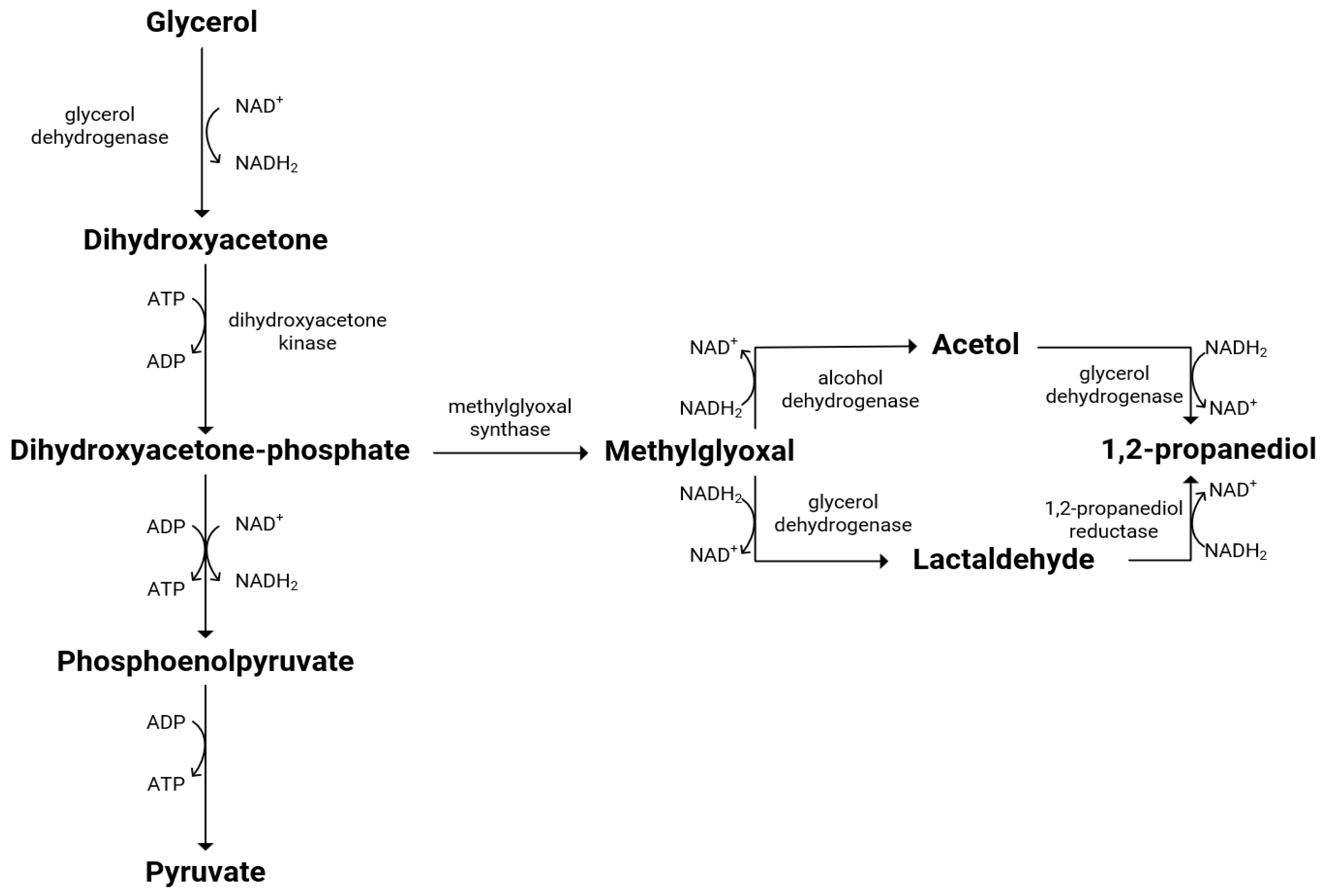 Fermentation 09 00894 g008