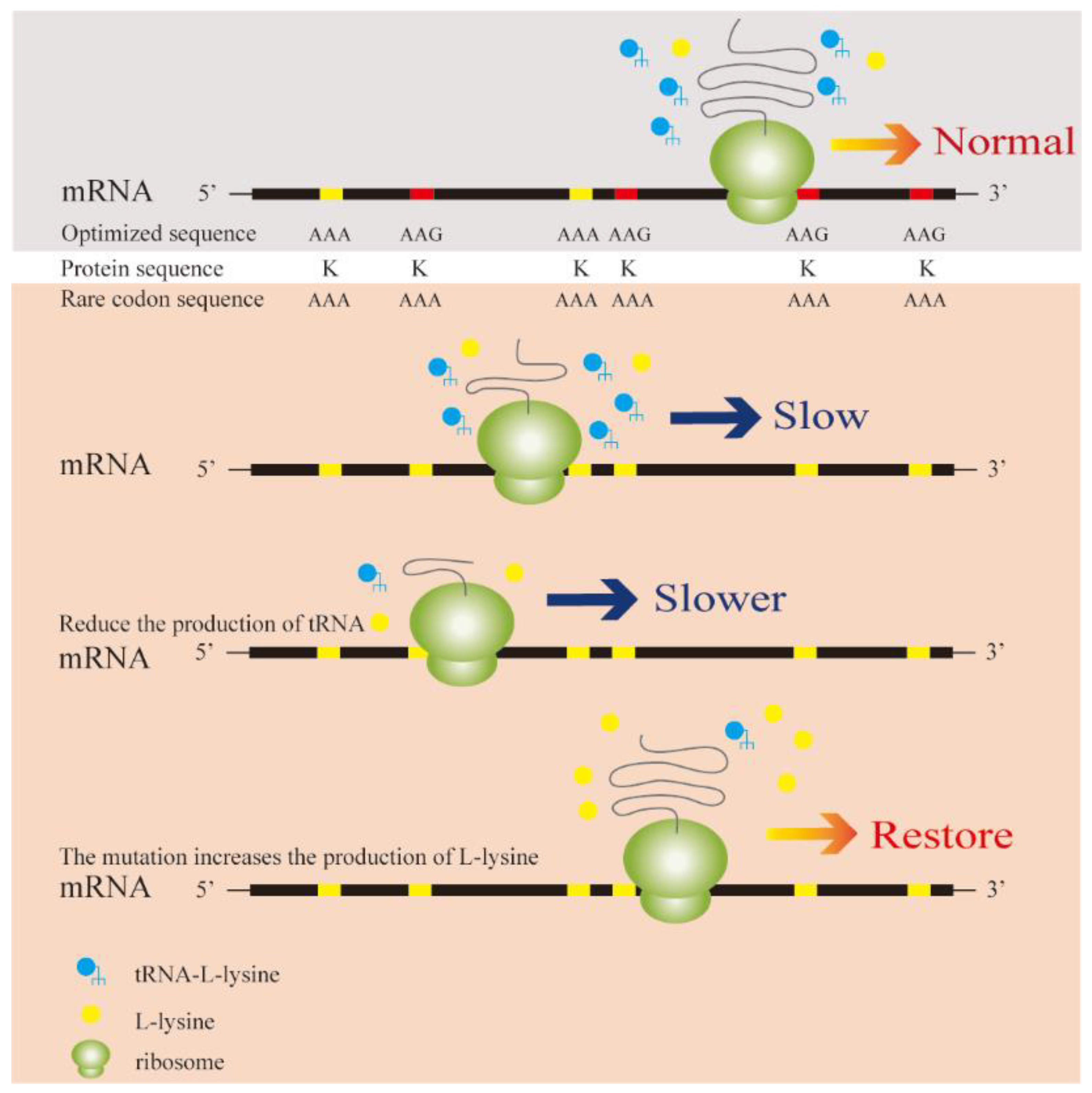 Fermentation 09 00899 g001
