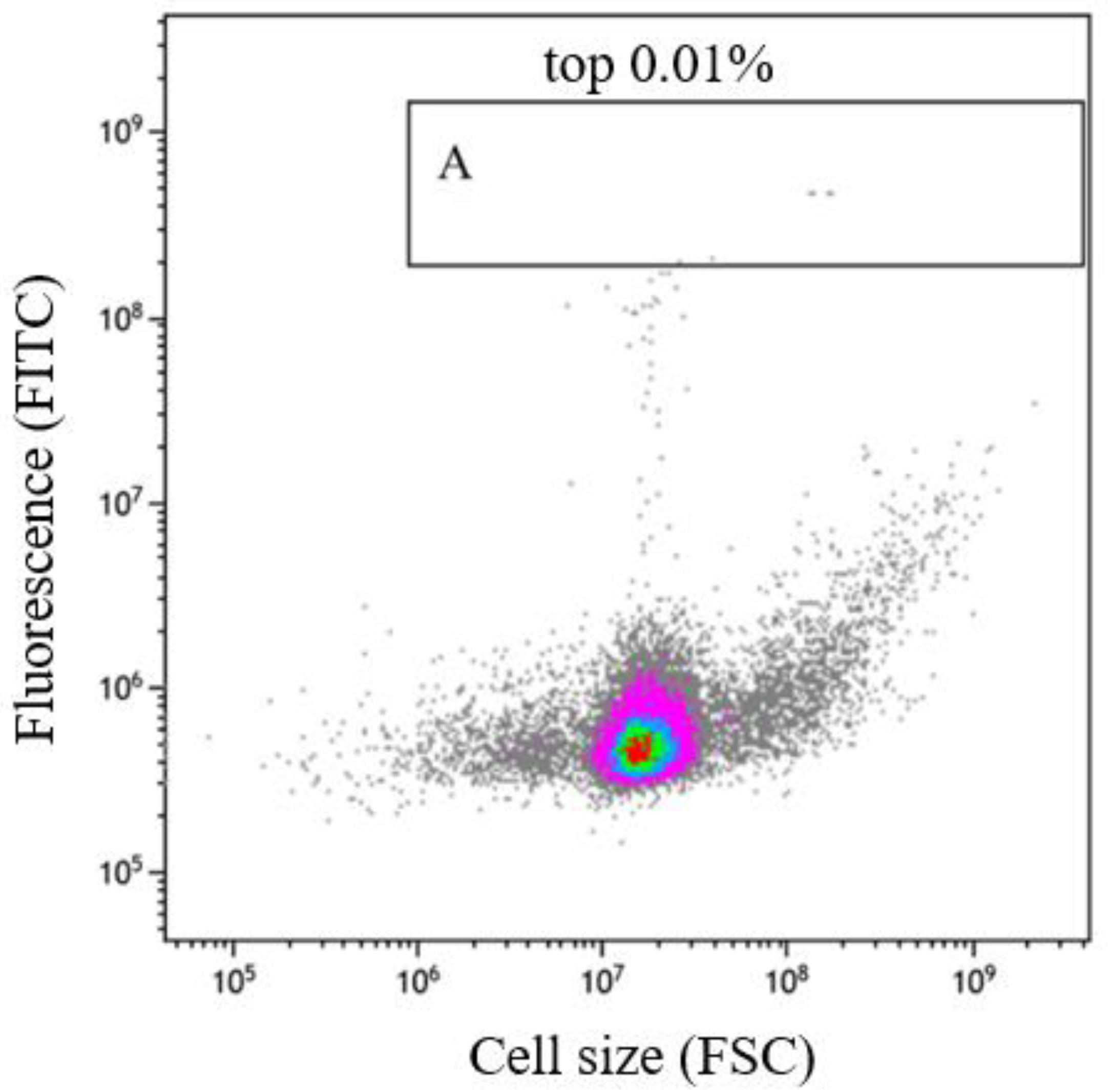 Fermentation 09 00899 g005