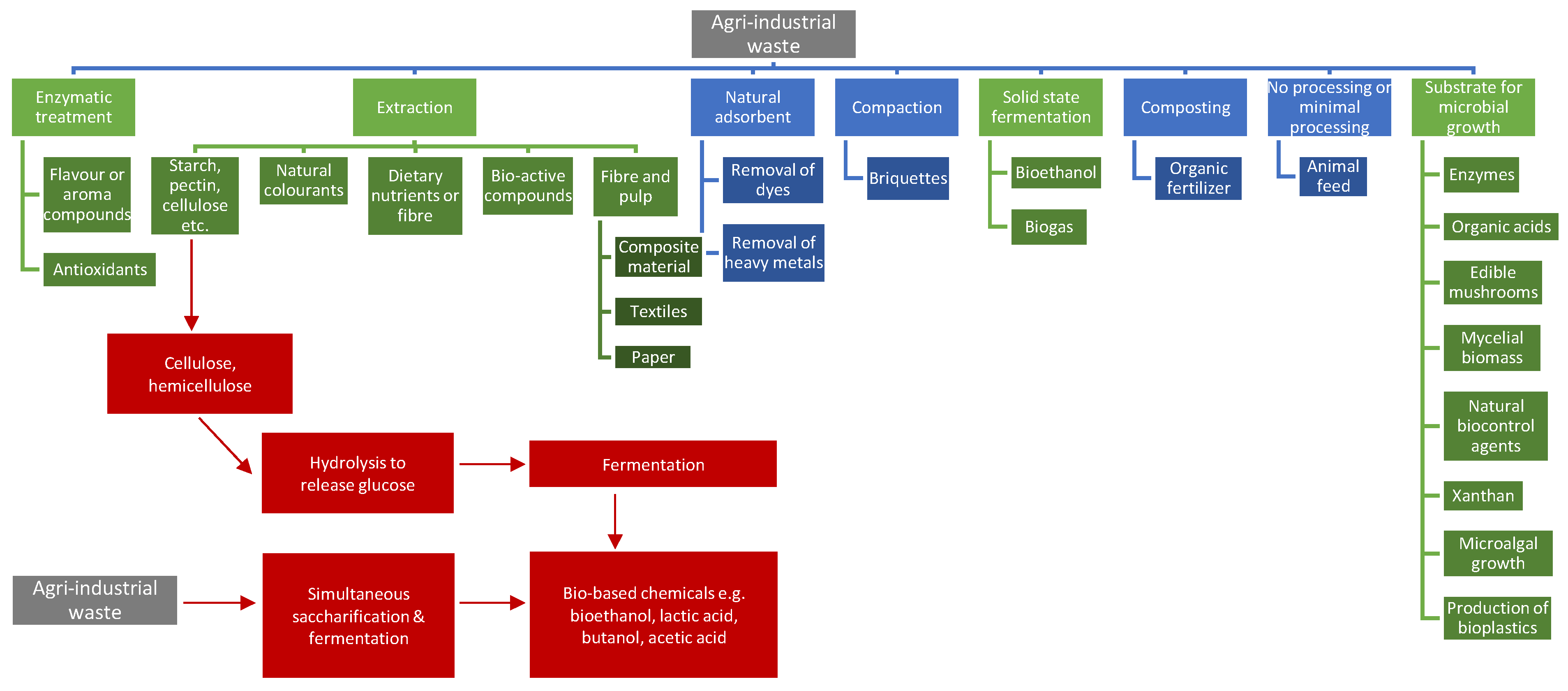 Fermentation 09 00908 g004
